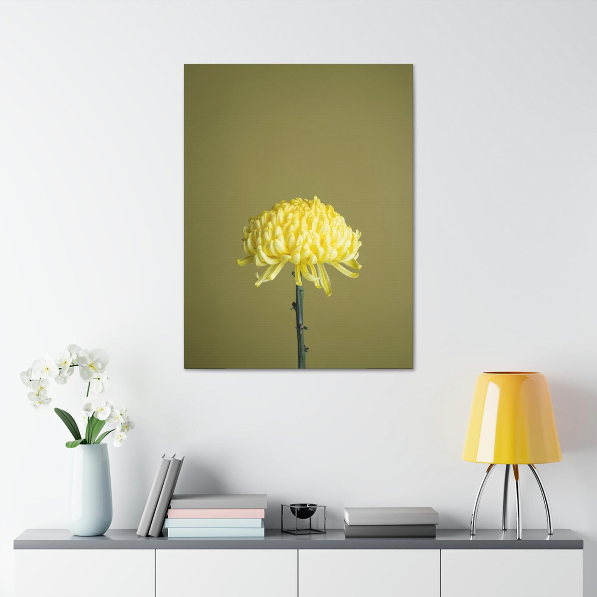 Chrysanthemums Chrysanthemum Elegance: Striking Wall Art on Framed Canvas