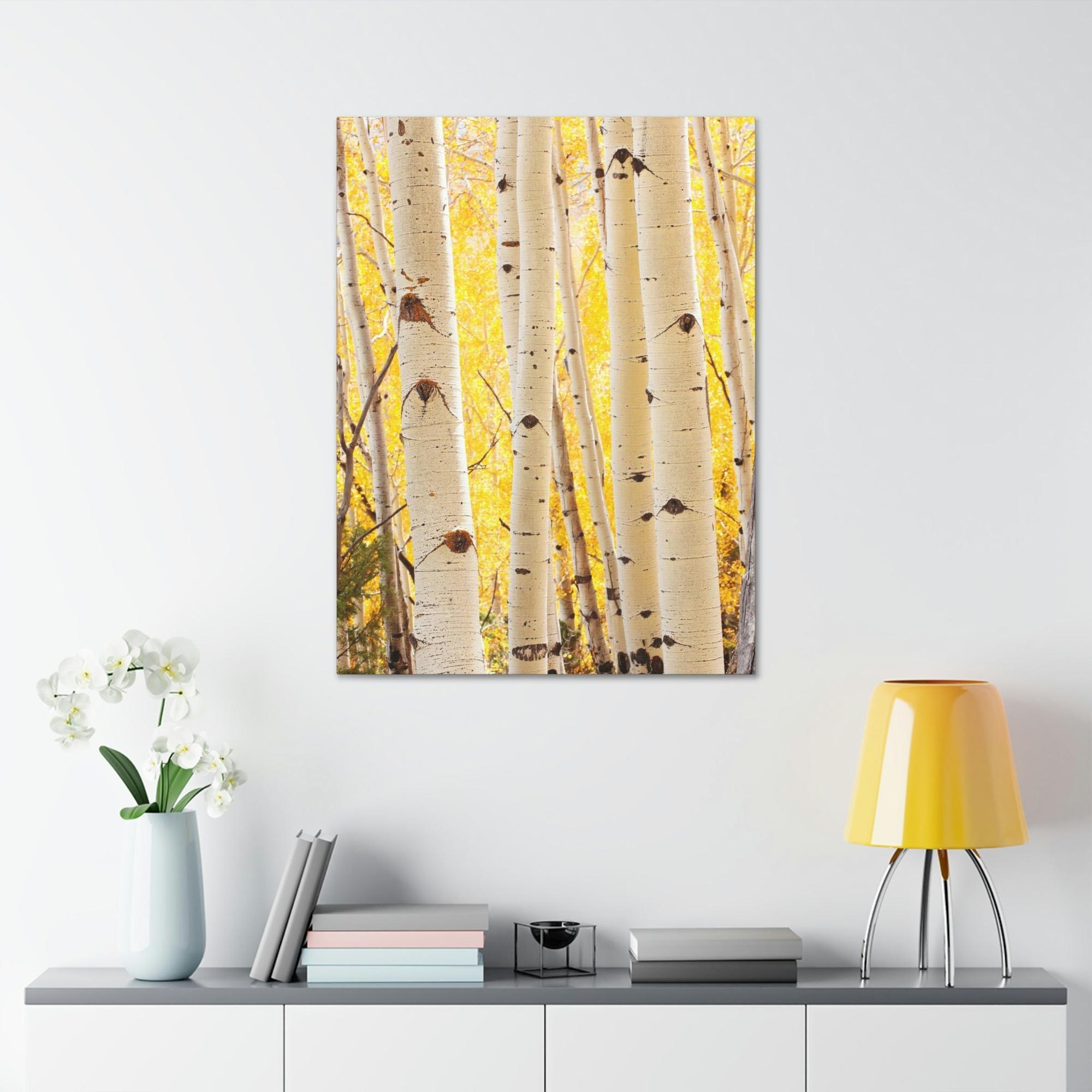 Birch Trees Birch Tree Calm: Colorful Print on Canvas of a Tranquil Forest