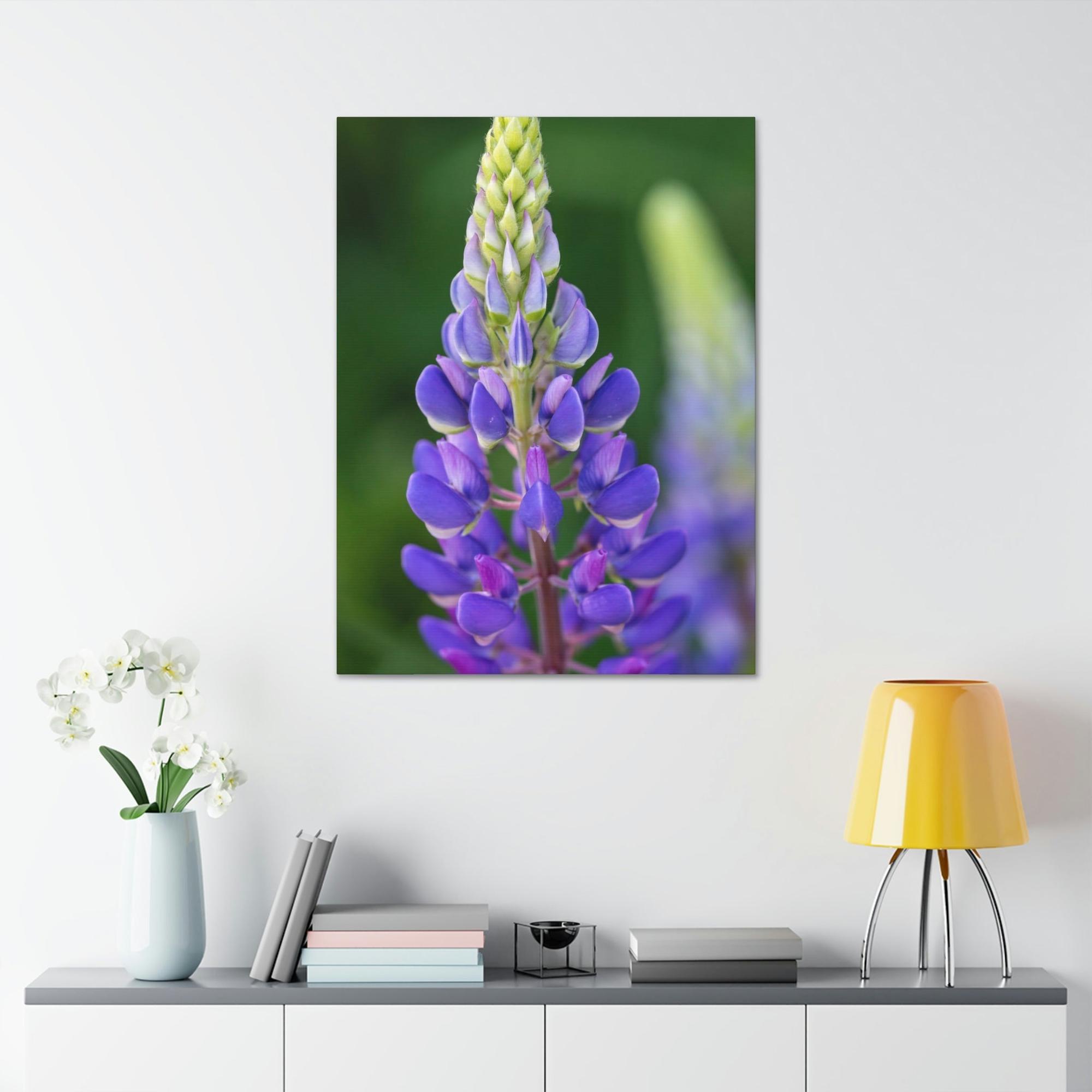 Bluebonnets Bluebonnet Garden: Framed Canvas and Print with Stunning Botanical Art
