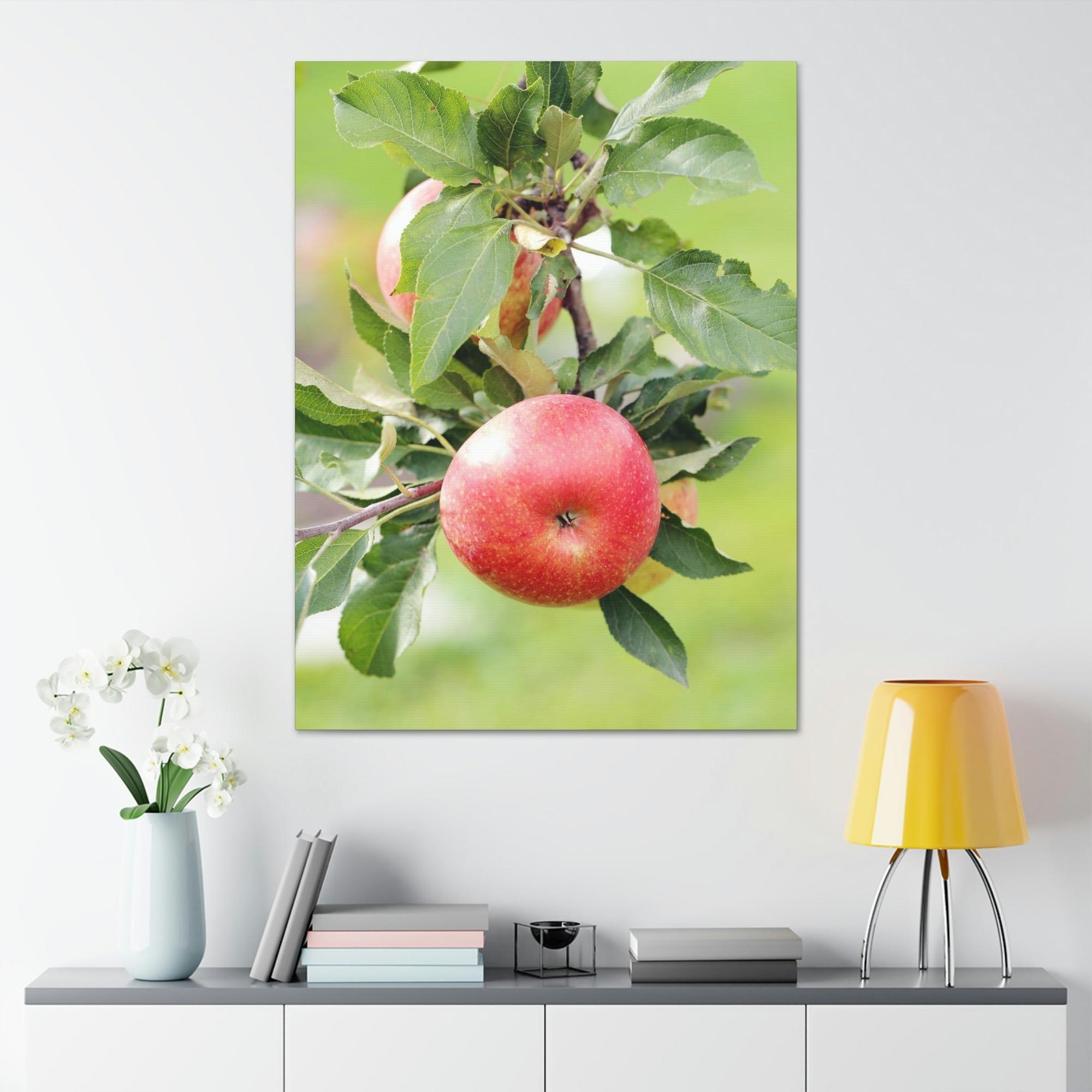 Apple Trees Harvest Time: Artistic Print on Canvas of Apple Trees in Autumn