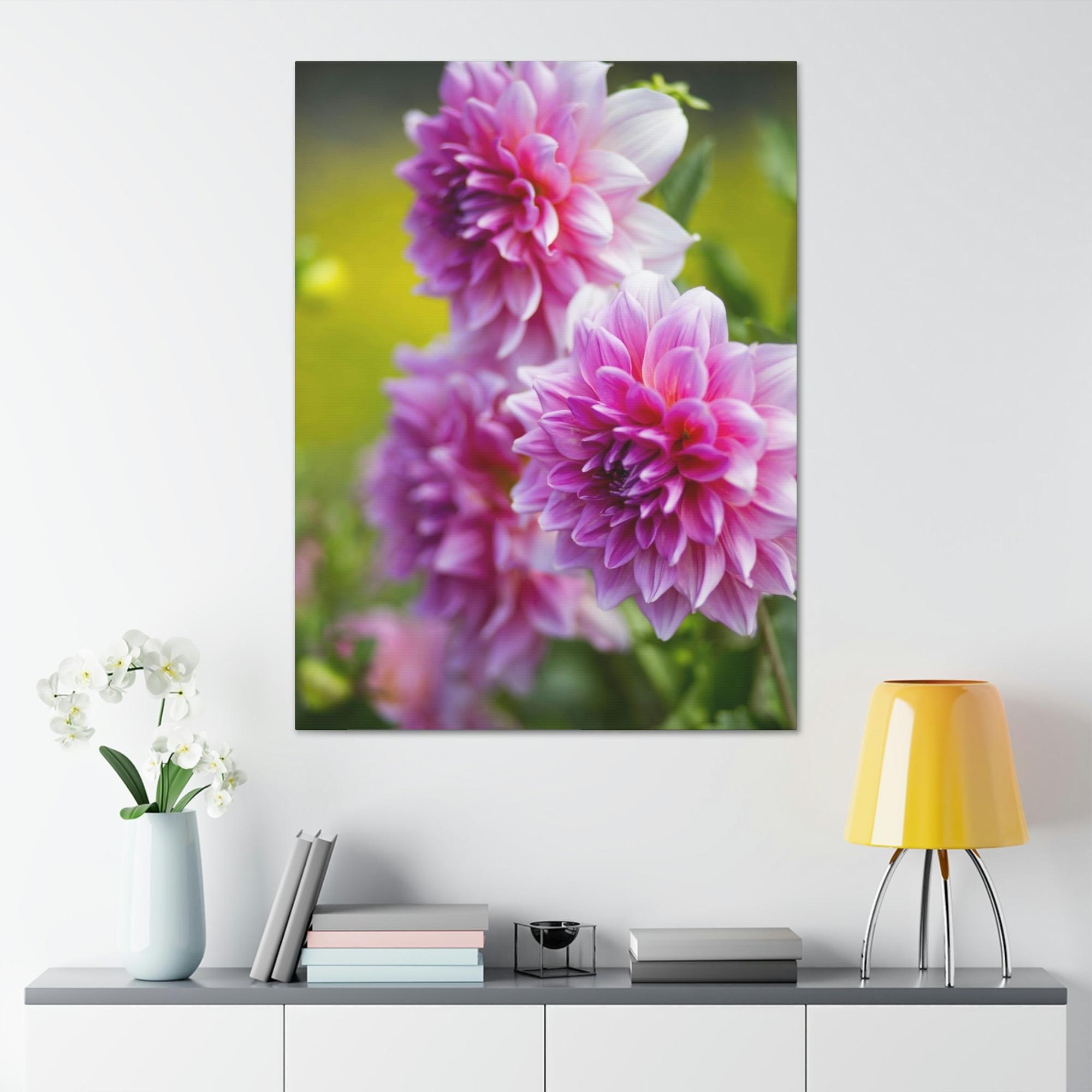 Dahlias Elegant Blooms: A Framed Canvas of Beautiful Dahlia Blossoms