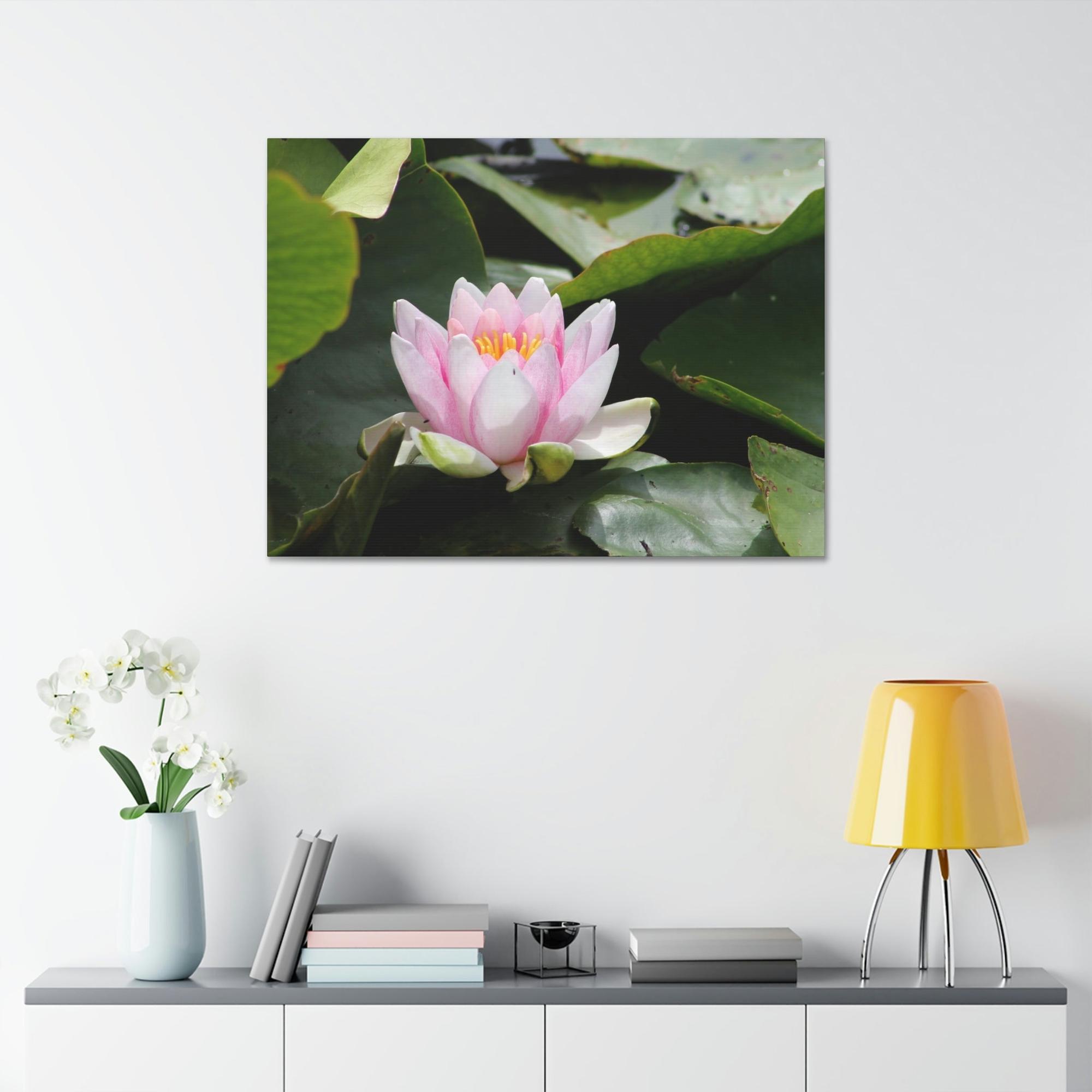 undefined Serenity in Lotuses: Natural Canvas & Poster Wall Art
