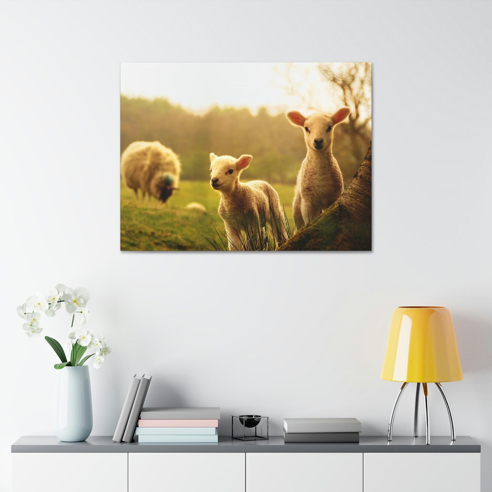 Sheeps Rustic Charm: Framed Poster & Canvas of Sheep Grazing