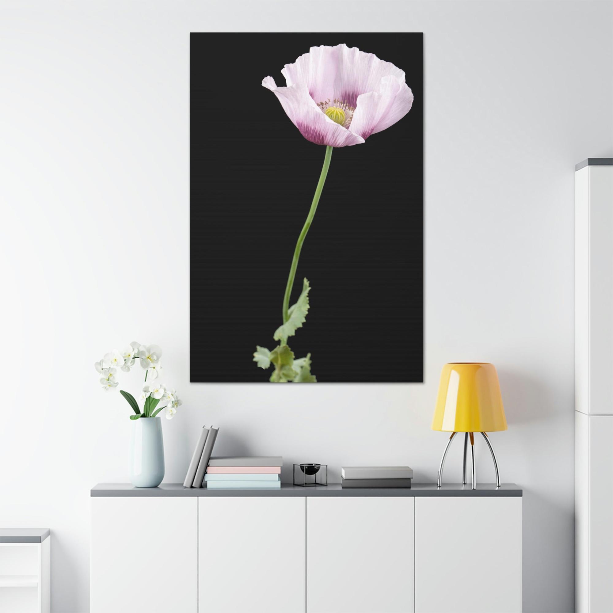 Poppies Petals of Passion: A Painting of Poppies as a Symbol of Love