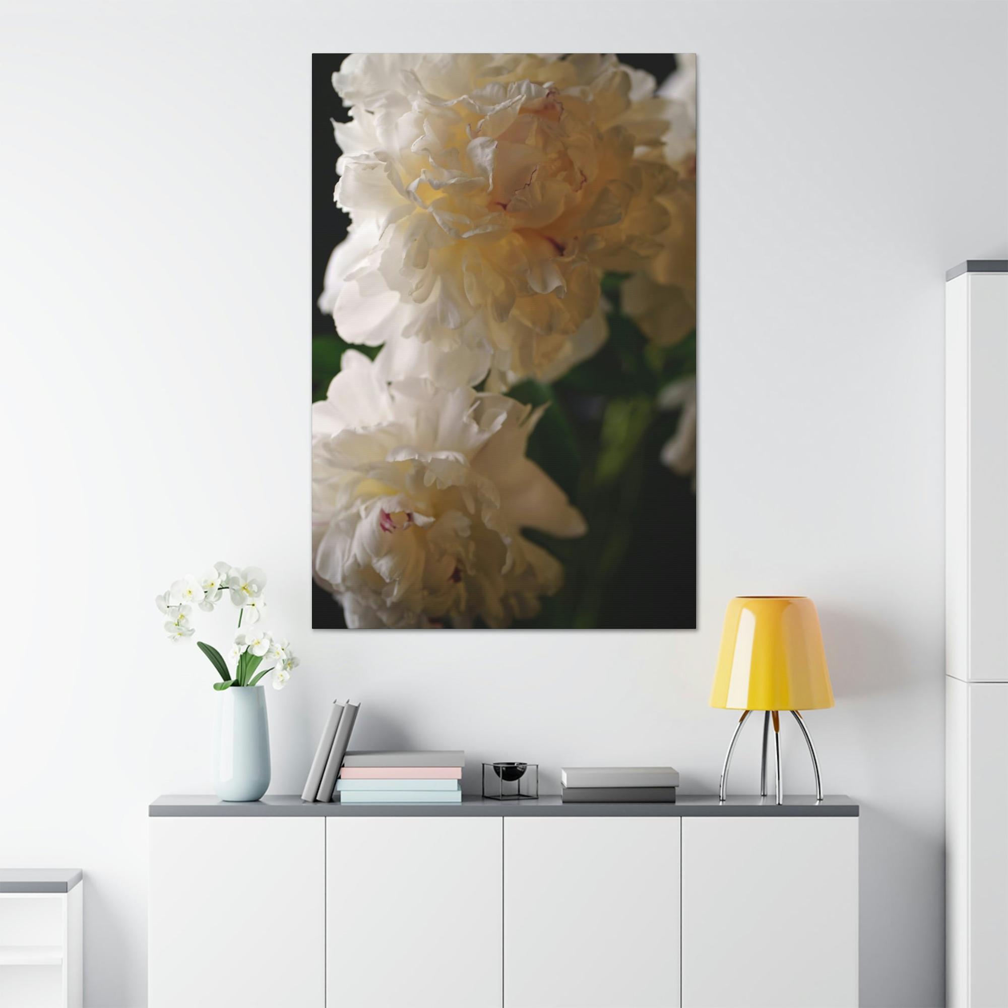 Peonies Dazzling Display: A Peony Extravaganza
