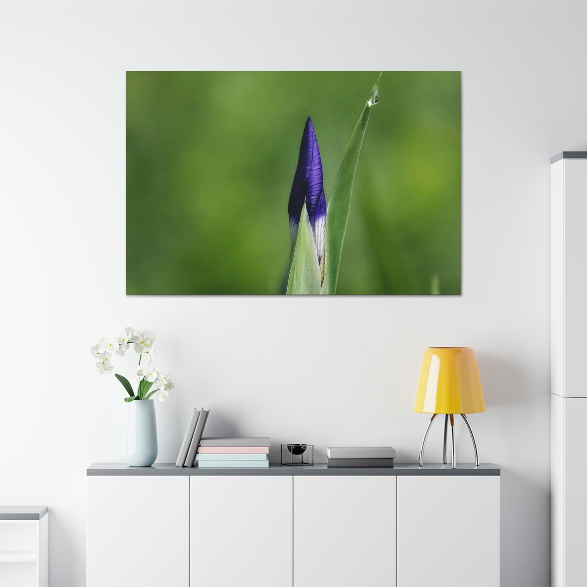 Irises Irise in Bloom: A Canvas of Melodic Petals and Fragrances
