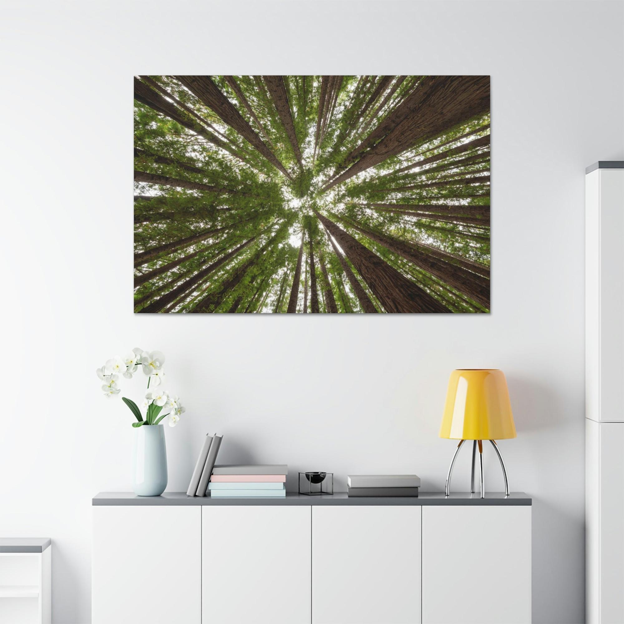 Forest Trees Through the Trees: A Forest Adventure