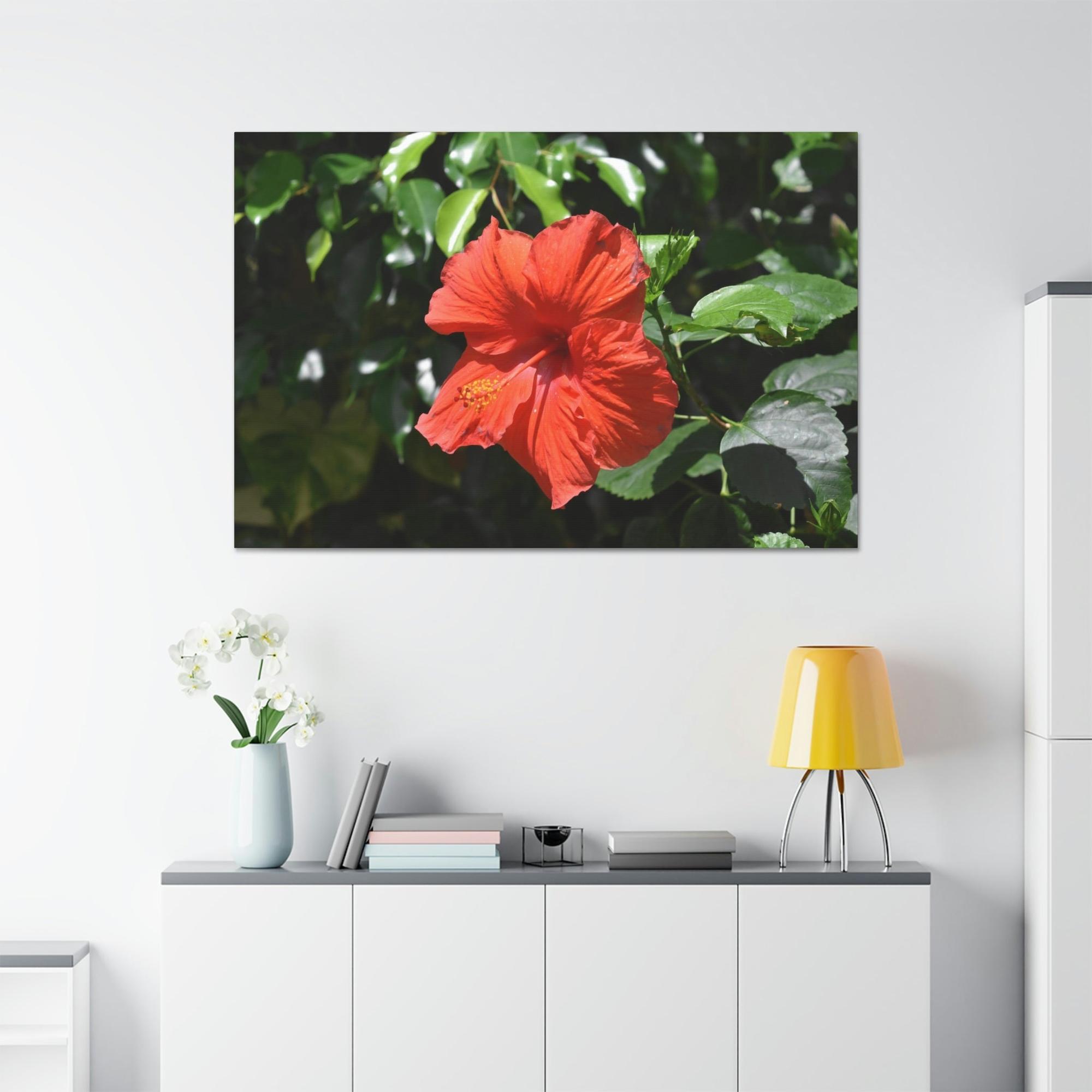 Hibiscuses The Charismatic Hibiscuses: A Vivid Showcase of Nature's Grace and Elegance