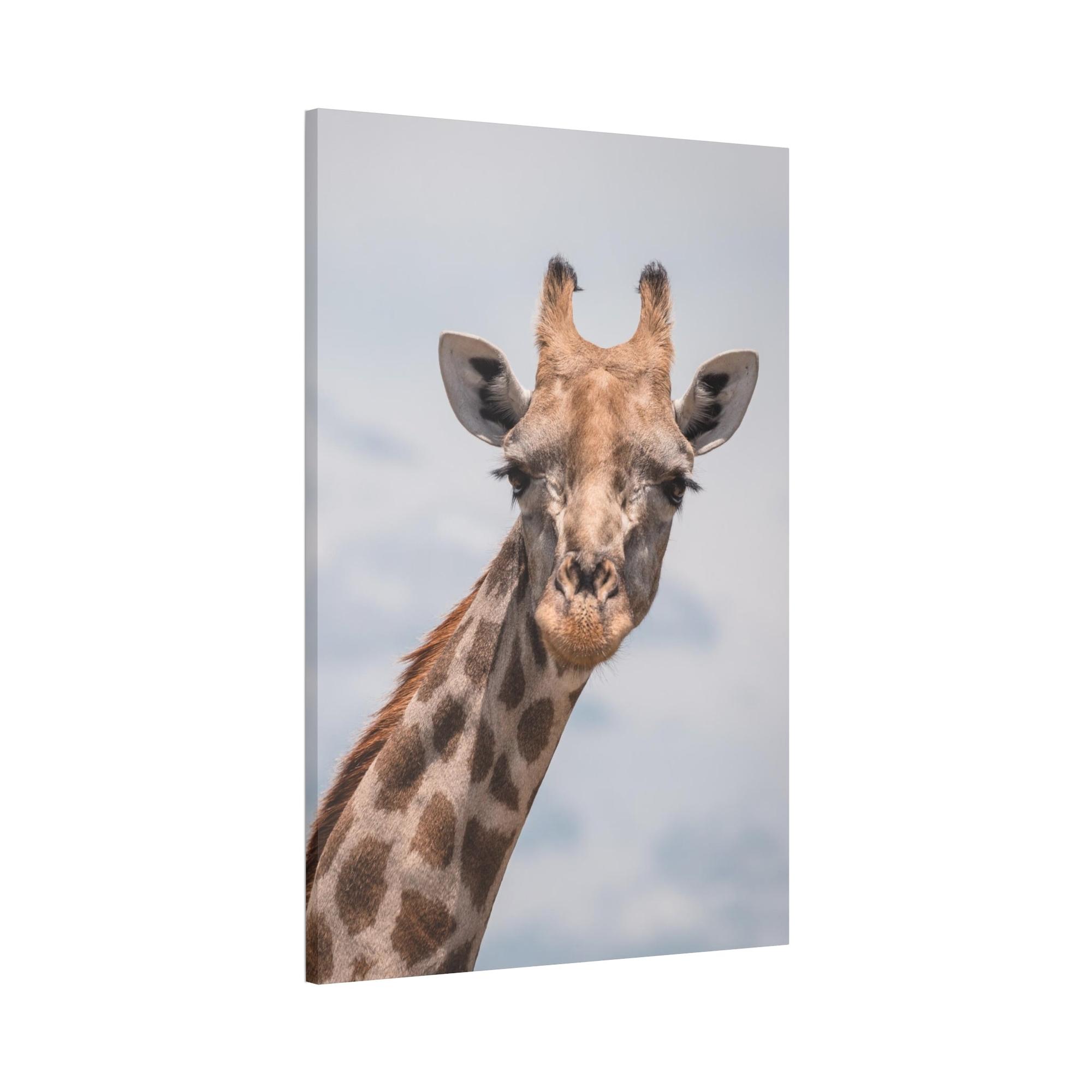 Giraffes Captivating Creature: A Stunning Giraffe on Canvas & Poster