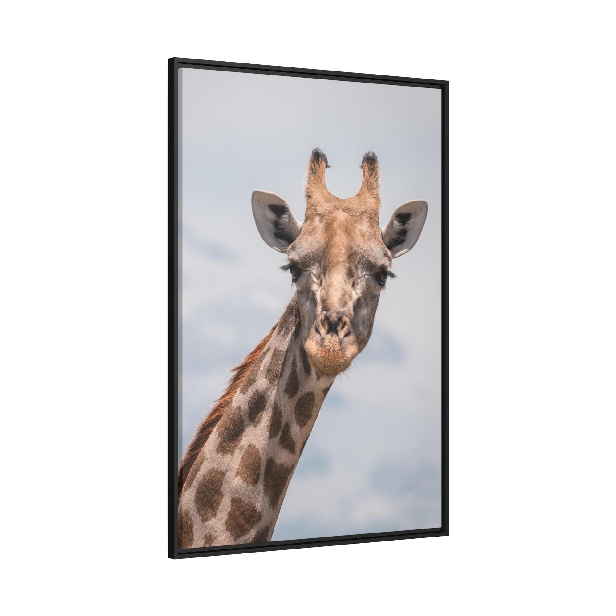 Giraffes Captivating Creature: A Stunning Giraffe on Canvas & Poster