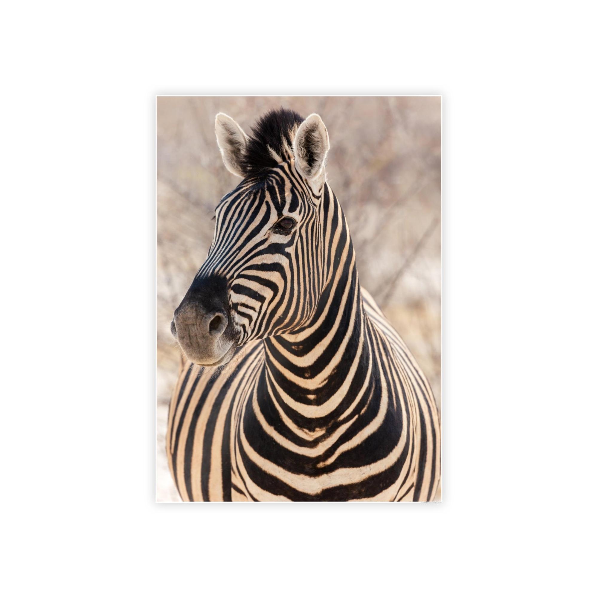 Zebras Zebras in the Wild: Stunning Print on Framed Canvas