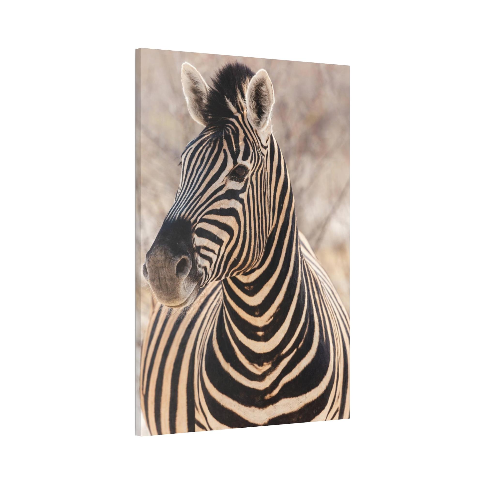 Zebras Zebras in the Wild: Stunning Print on Framed Canvas