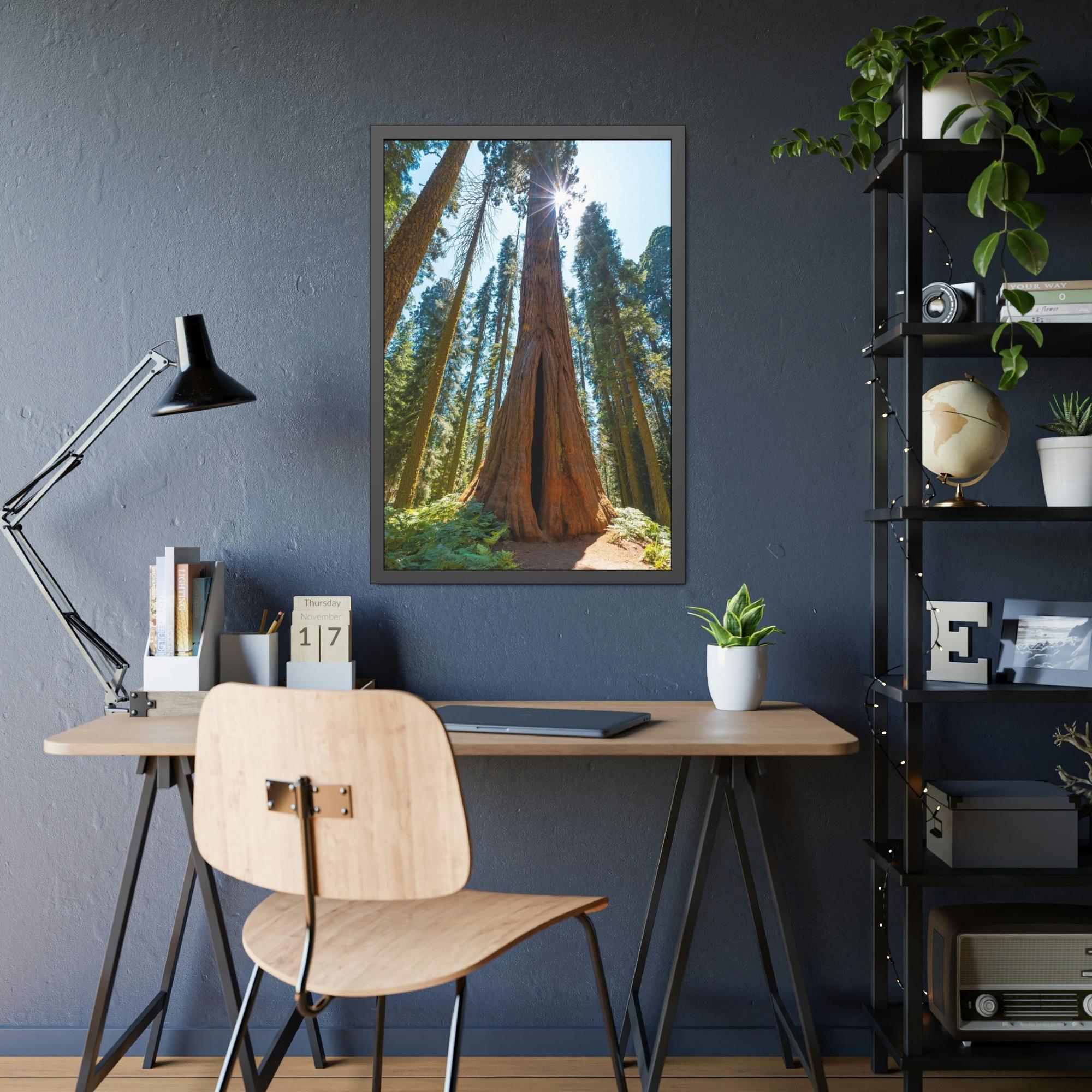 Redwood Trees Whispers from the Forest: Redwood Trees