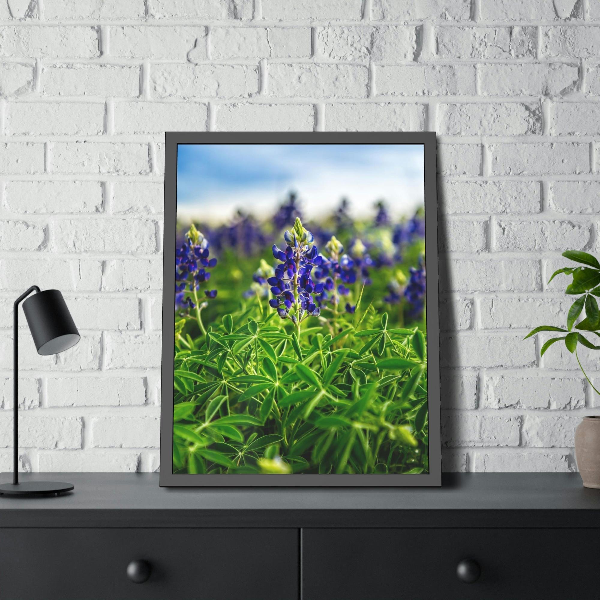 Bluebonnets Fields of Blue: Wall Art and Print on Canvas Showcasing Stunning Bluebonnets