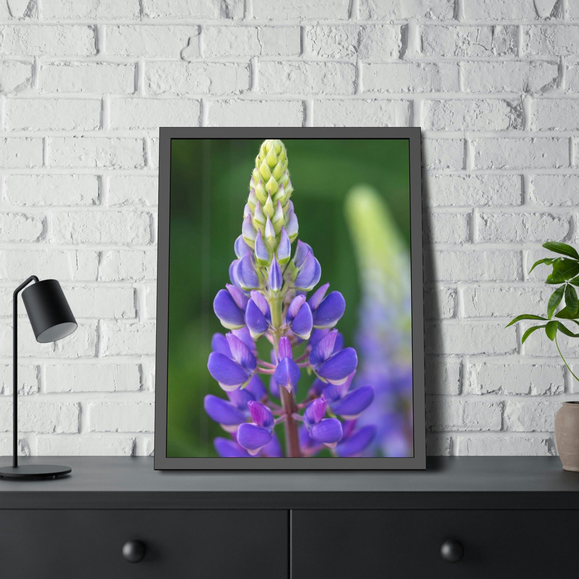 Bluebonnets Bluebonnet Garden: Framed Canvas and Print with Stunning Botanical Art