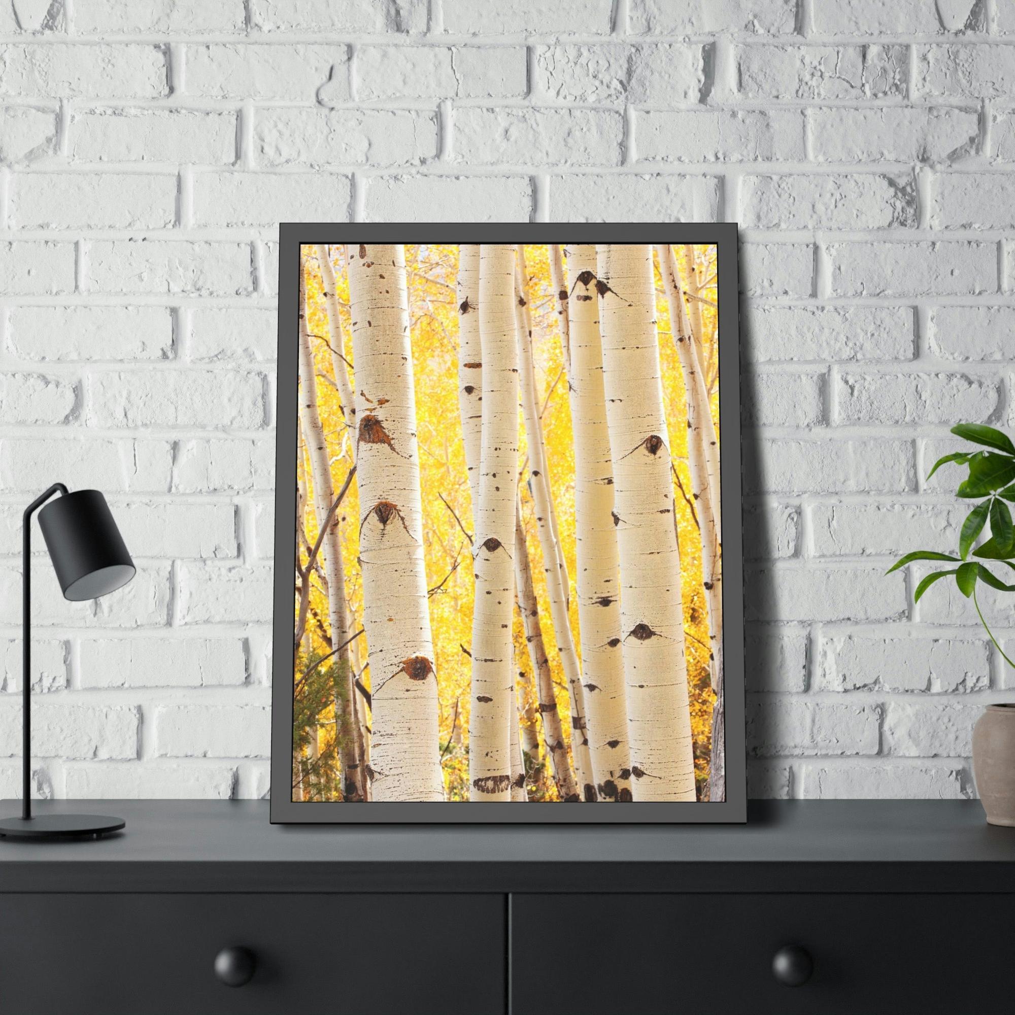 Birch Trees Birch Tree Calm: Colorful Print on Canvas of a Tranquil Forest