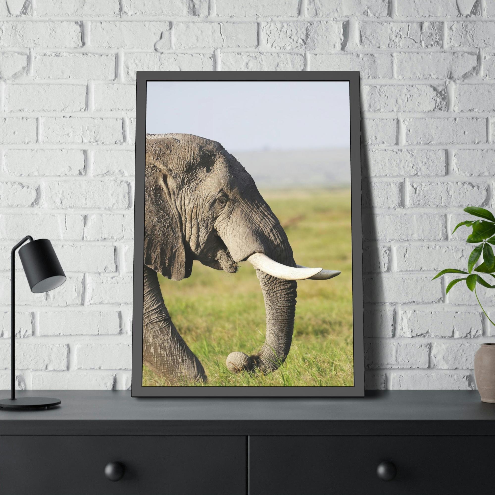 Safari A Walk on the Wild Side: An Up-Close Look at Africa's Most Magnificent Creatures