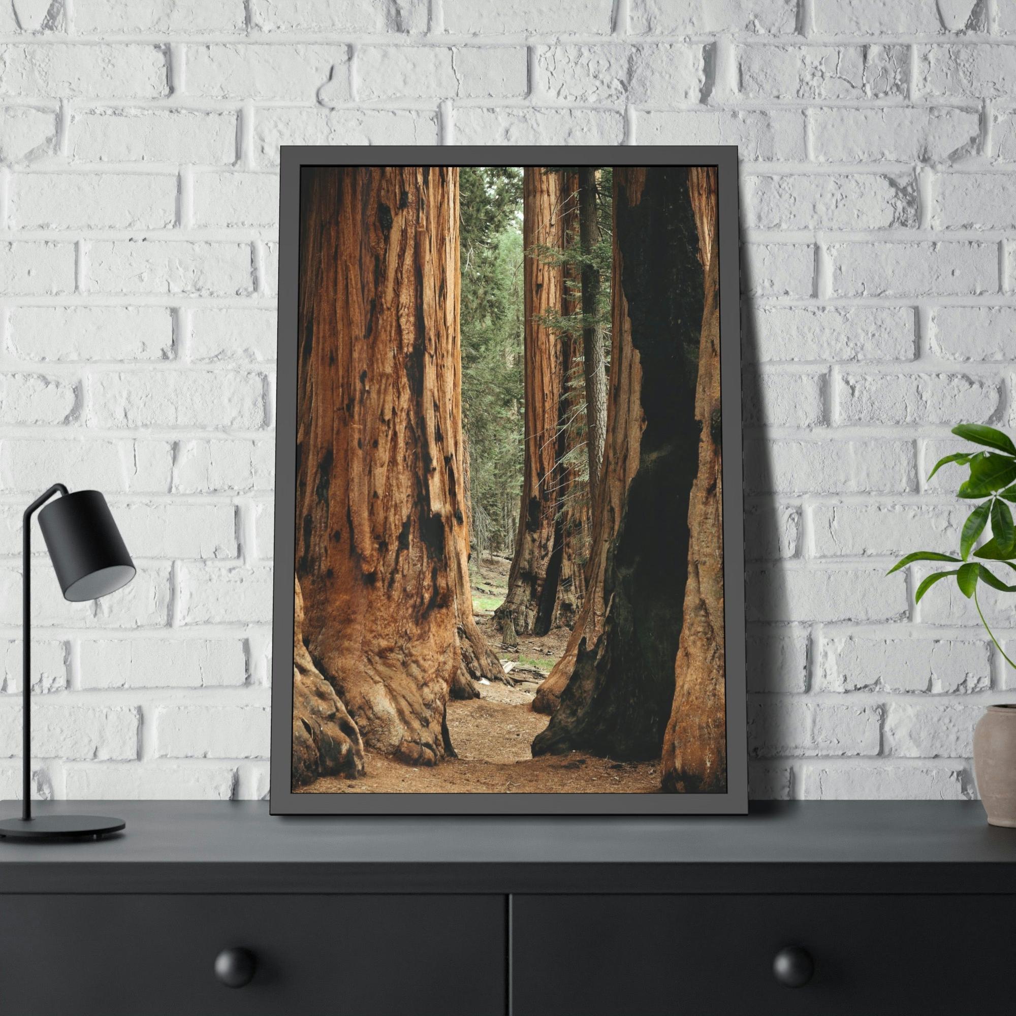 Trees Woodsy Whispers: A Peaceful Journey Through a Forest's Secrets