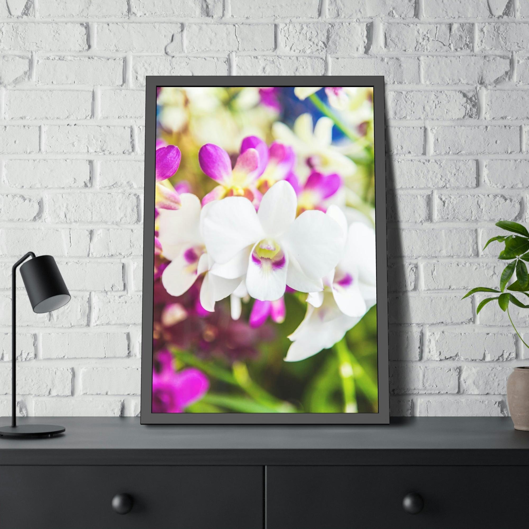 Orchids Orchid Garden: A Colorful Canvas Escape