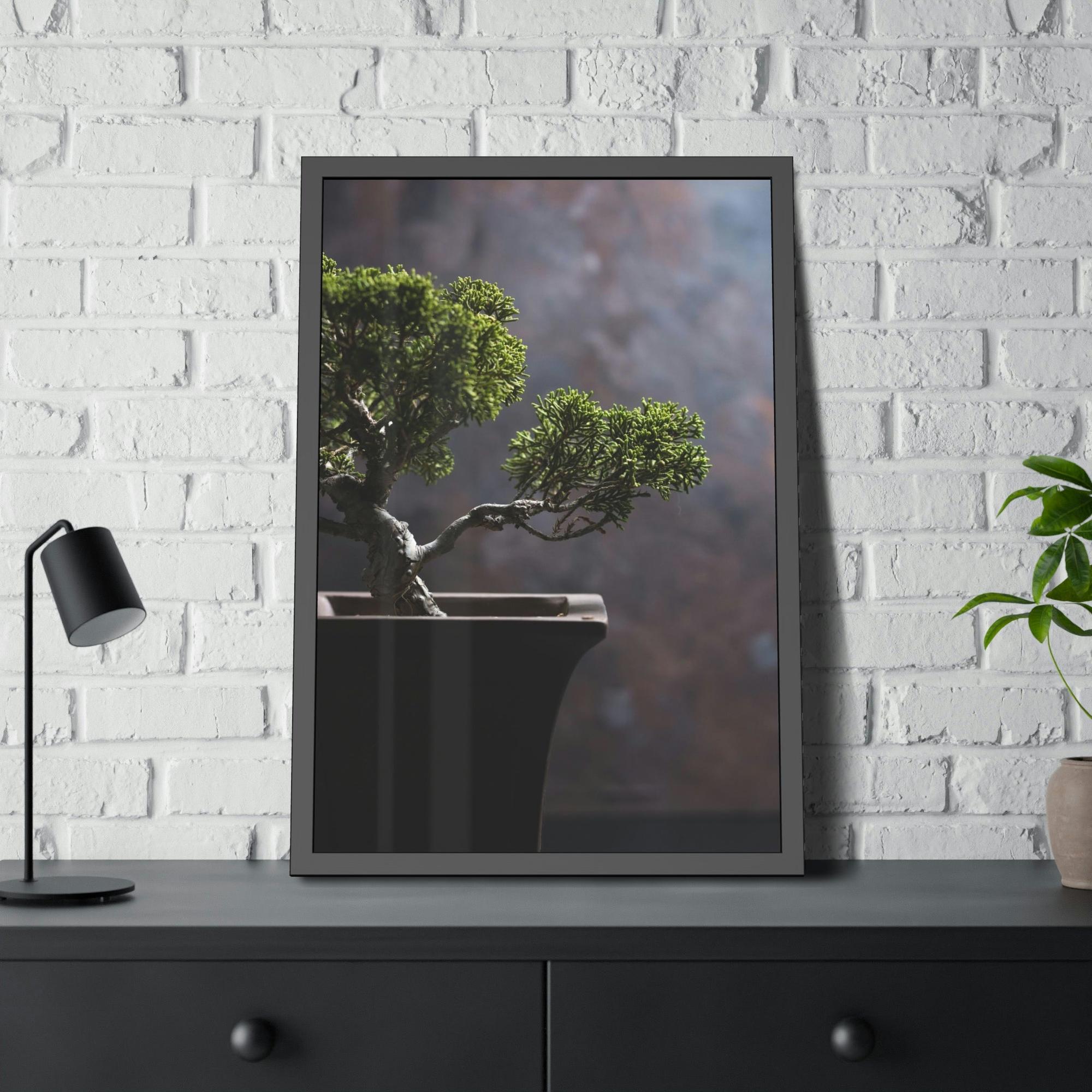 Bonsai Tree Bonsai Harmony: Framed Canvas and Print with Balanced Bonsai Tree Art