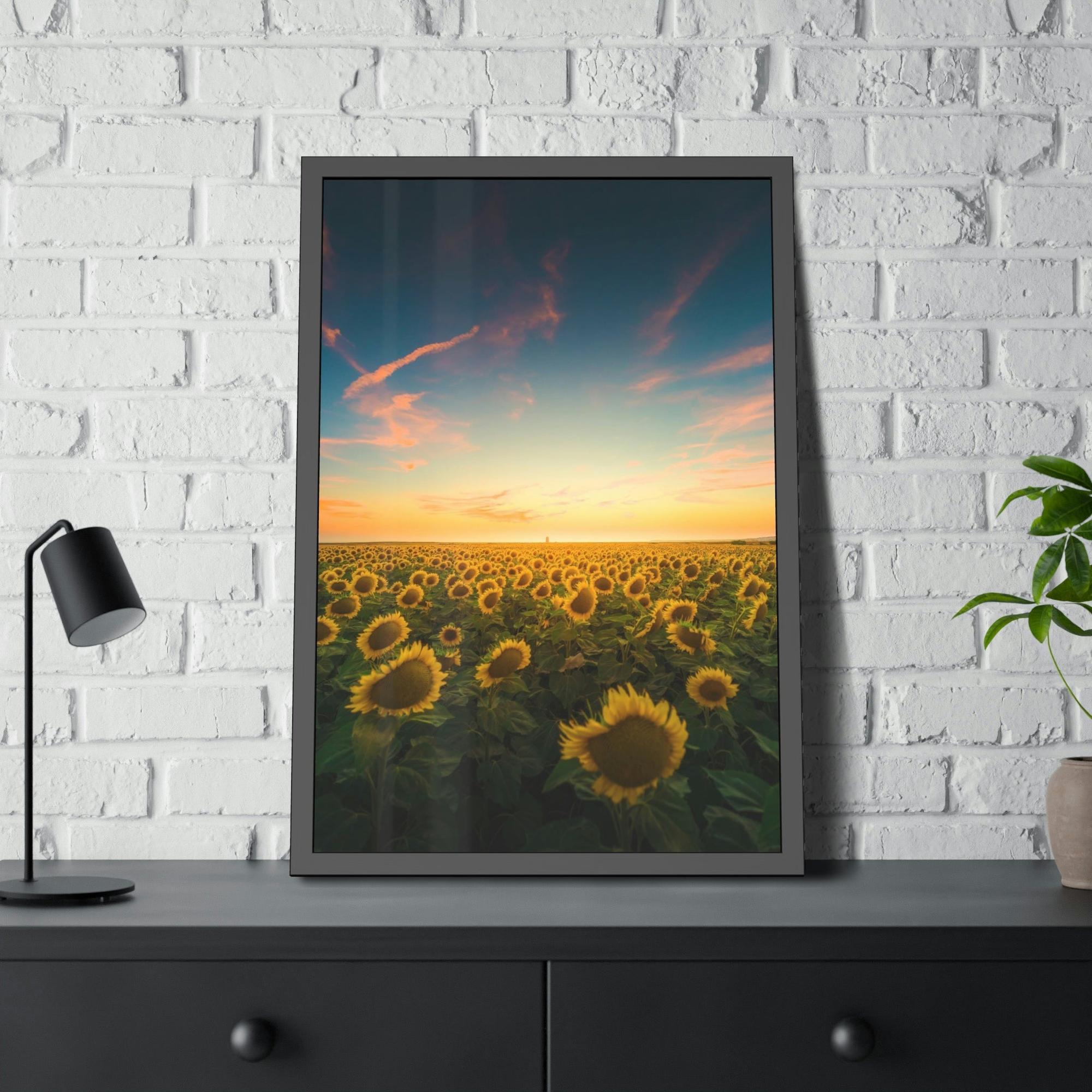 Sunflowers Radiant Rays: A Mesmerizing and Luminous Portrait of Sunflowers' Glory