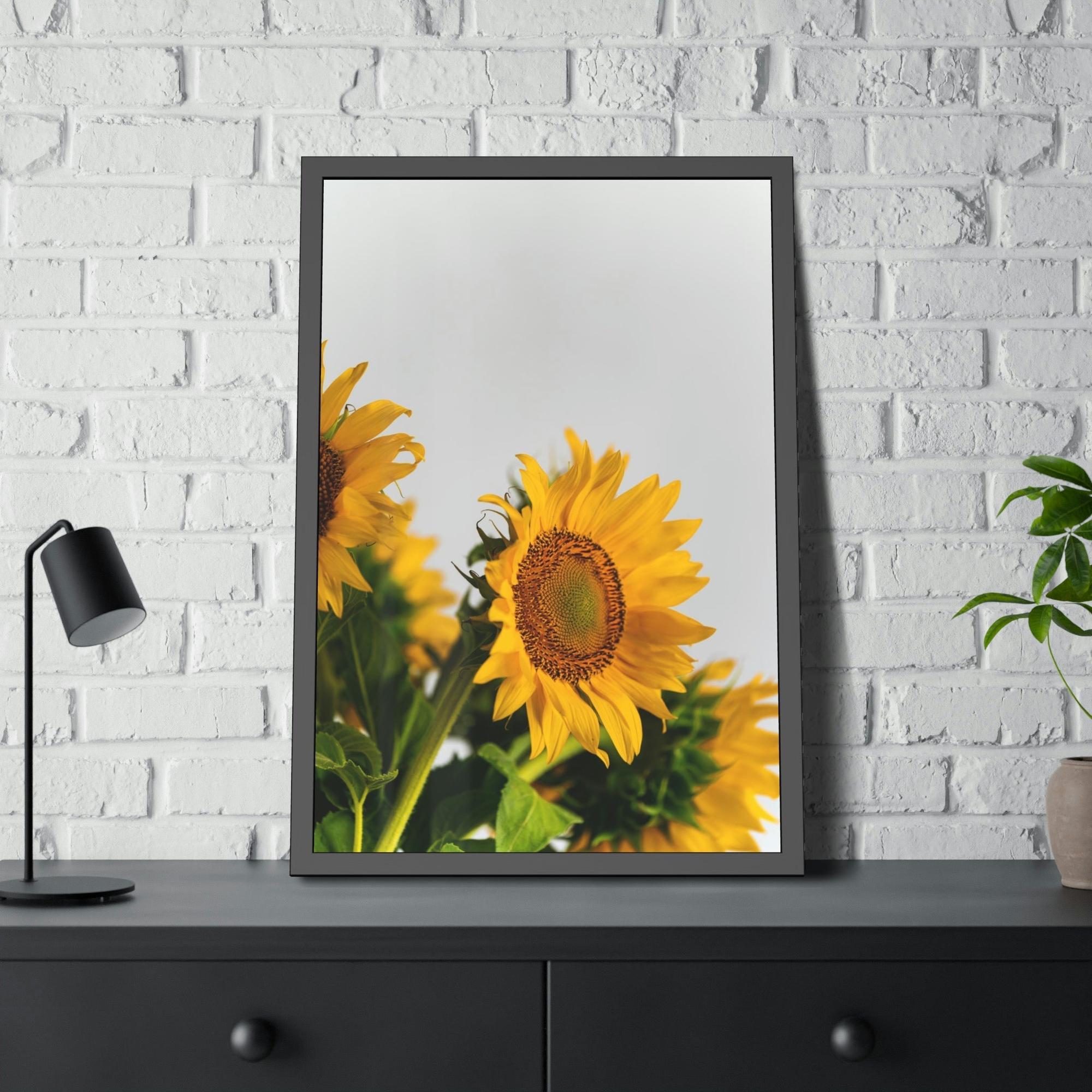 Sunflowers Sunny Delight: A Blissful and Cheerful Glimpse into the Beauty of Sunflowers