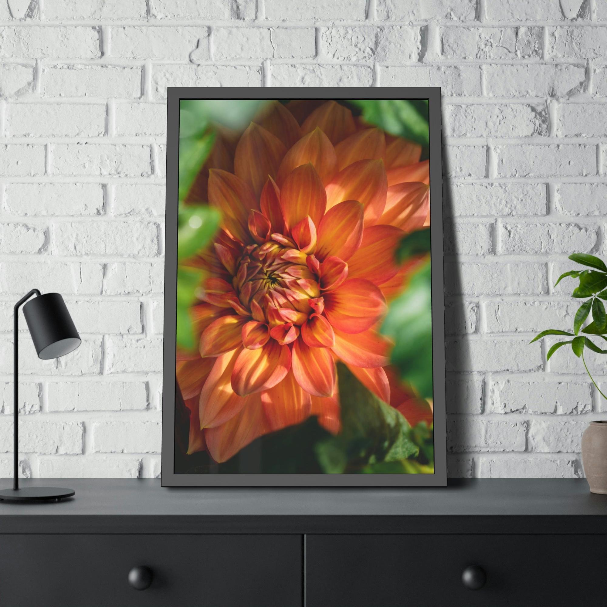 Dahlias The Majesty of Dahlias: A Wall Art Print of These Gorgeous Blooms
