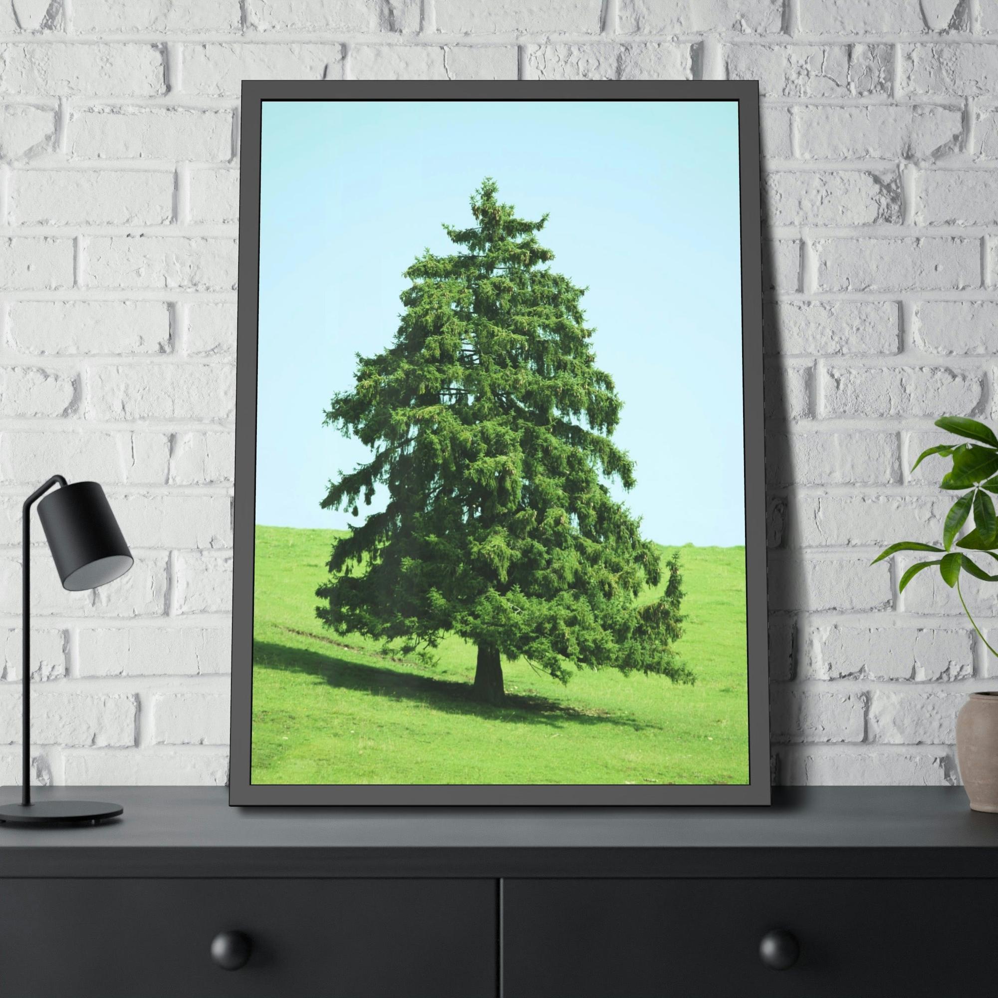 Cypress Tree A Cypress Oasis of Beauty and Tranquility: A Haven of Serenity and Peace