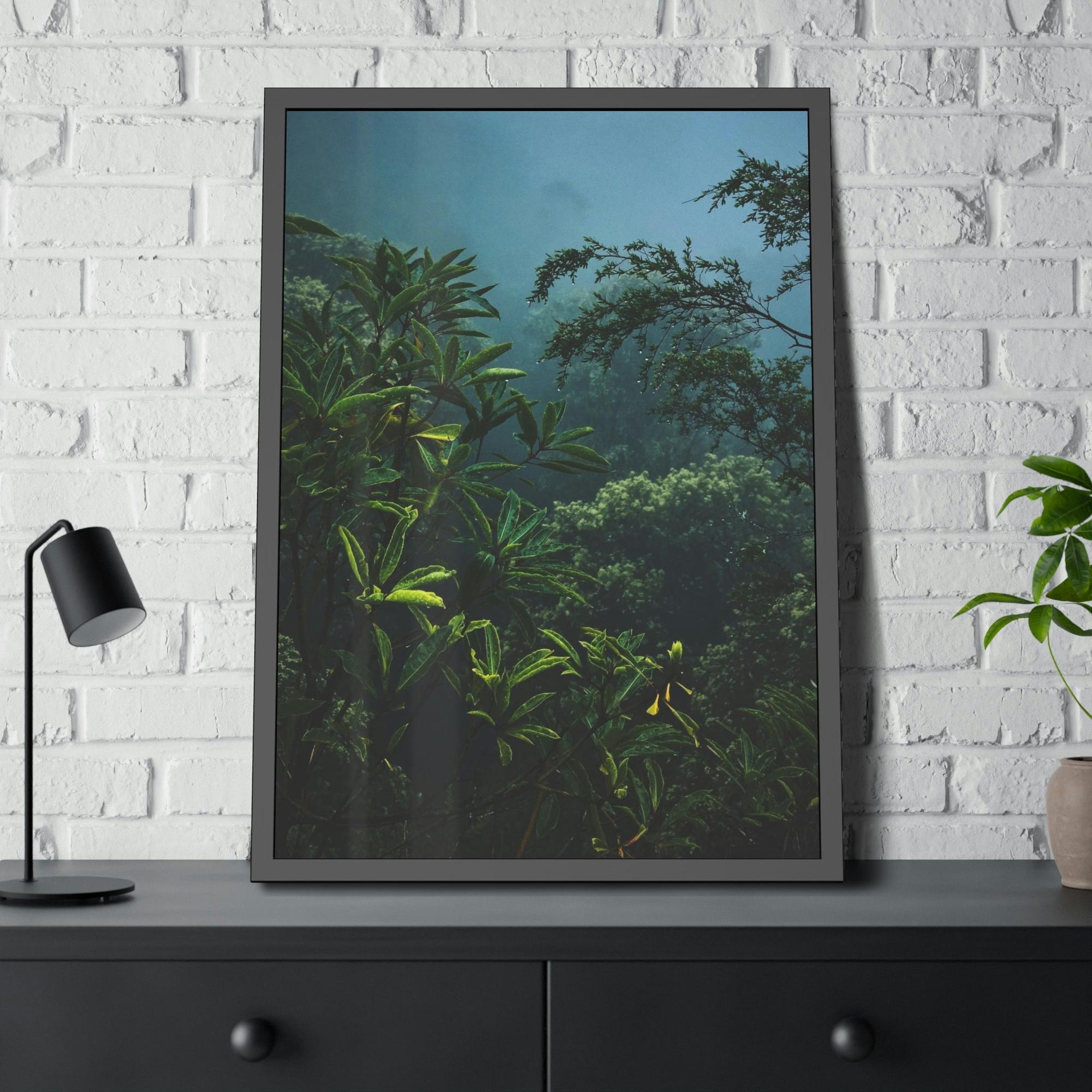 Forests And Jungles Forest and Jungle: A Haven of Tranquility and Serenity