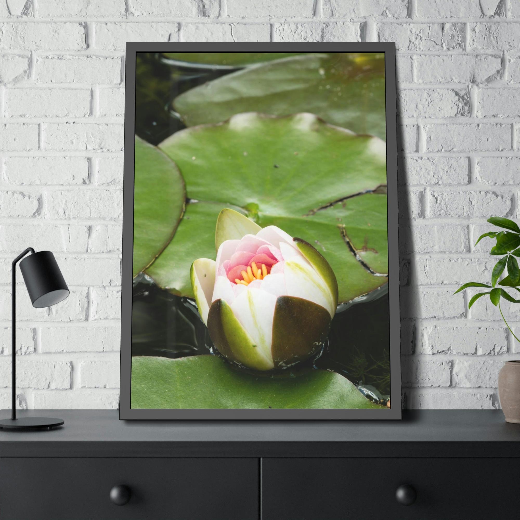 Lilies & Waterlily Serene Reflections: Lilies on Water