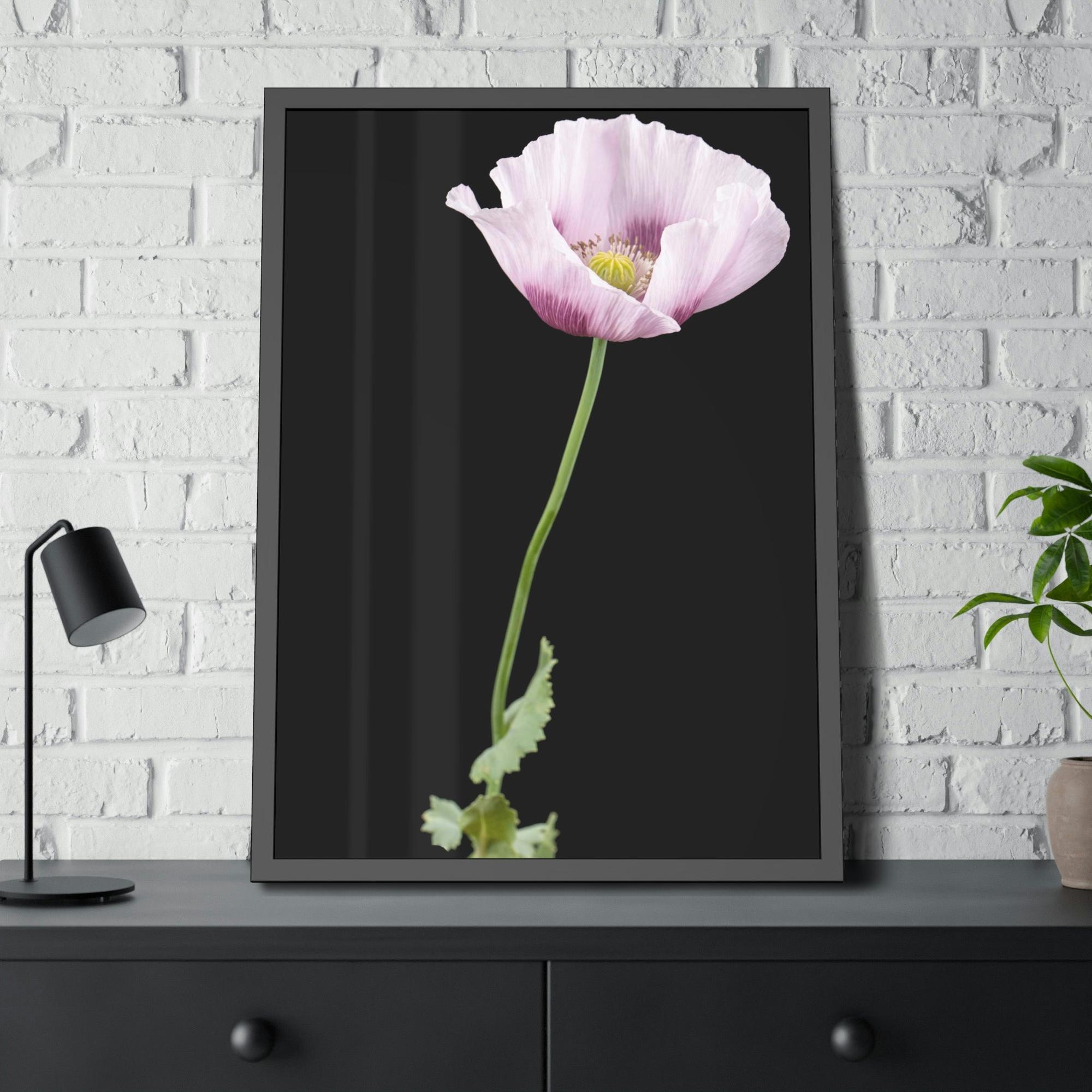 Poppies Petals of Passion: A Painting of Poppies as a Symbol of Love