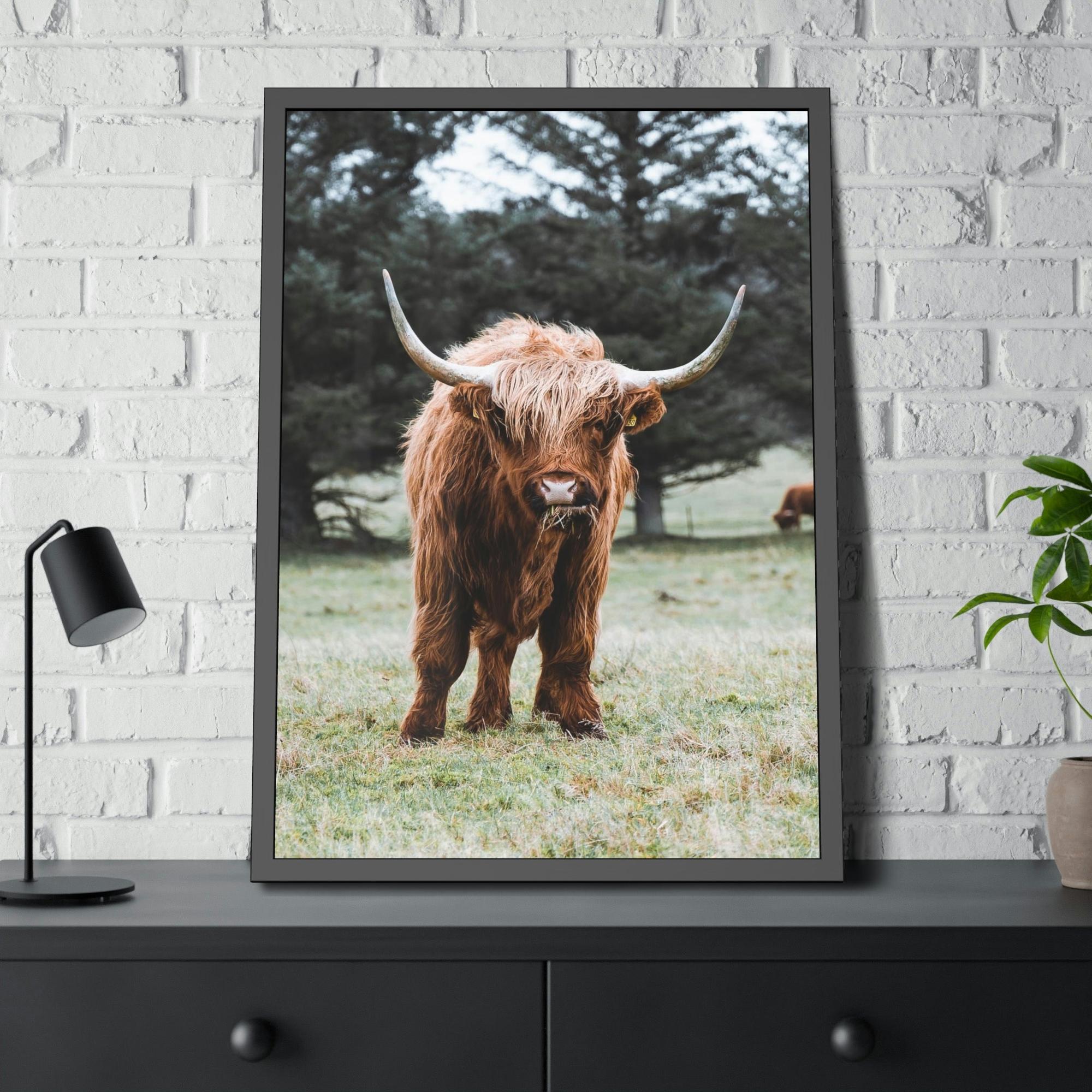 Highland Cow Scottish Cattle Breeds - Wall Art  | Animals Art