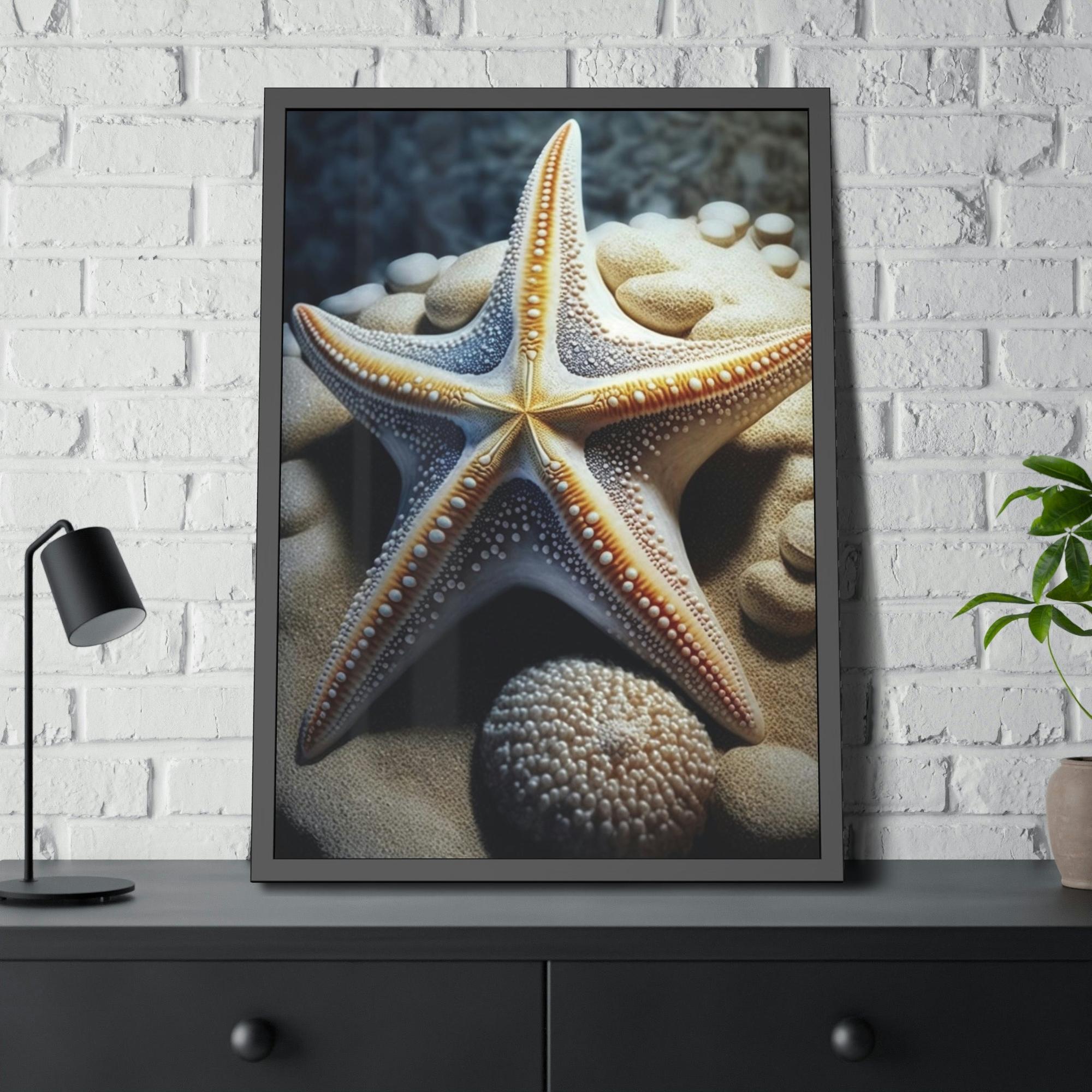 Starfishs Starfish Lullaby: A Calming Seascape