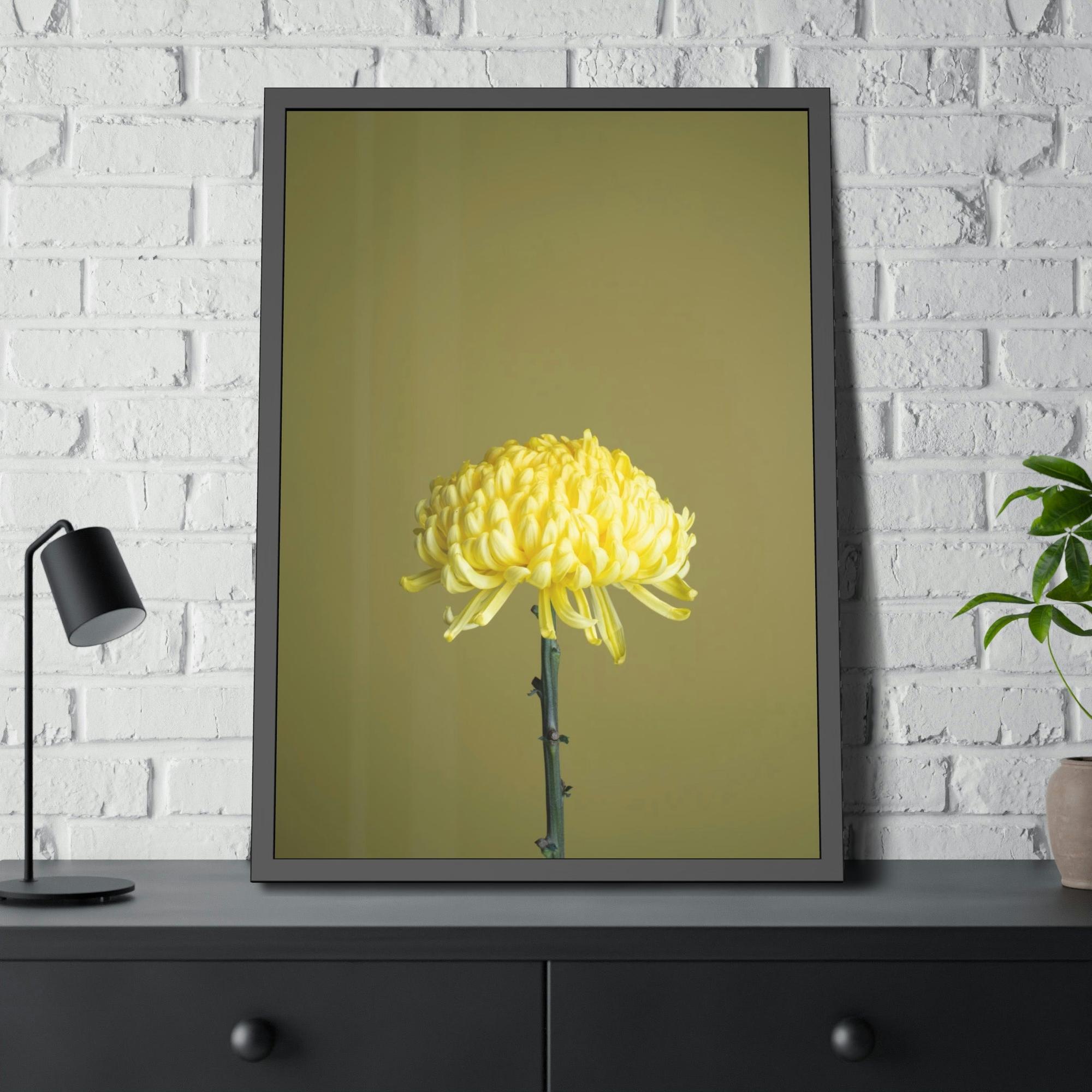 Chrysanthemums Chrysanthemum Elegance: Striking Wall Art on Framed Canvas