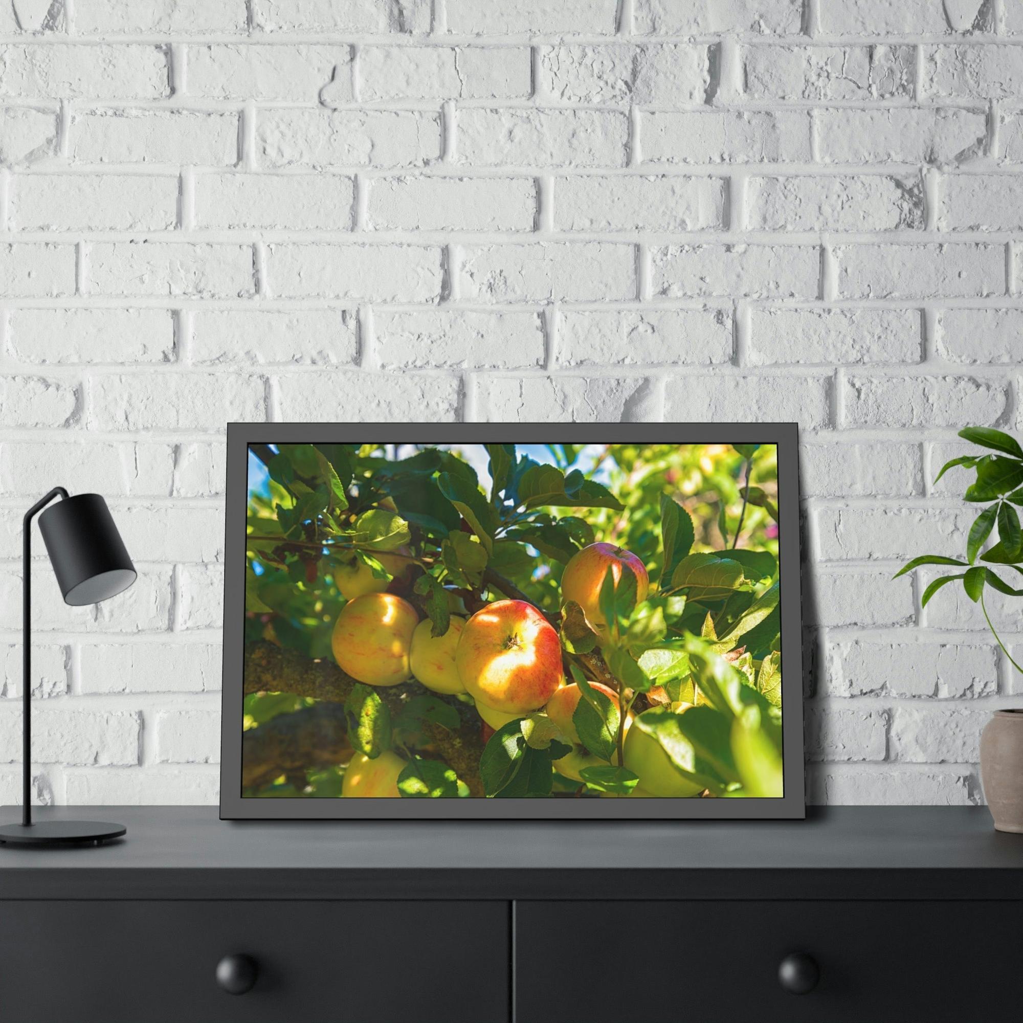Apple Trees Serene Orchard: Framed Canvas & Poster of Apple Trees on a Sunny Day