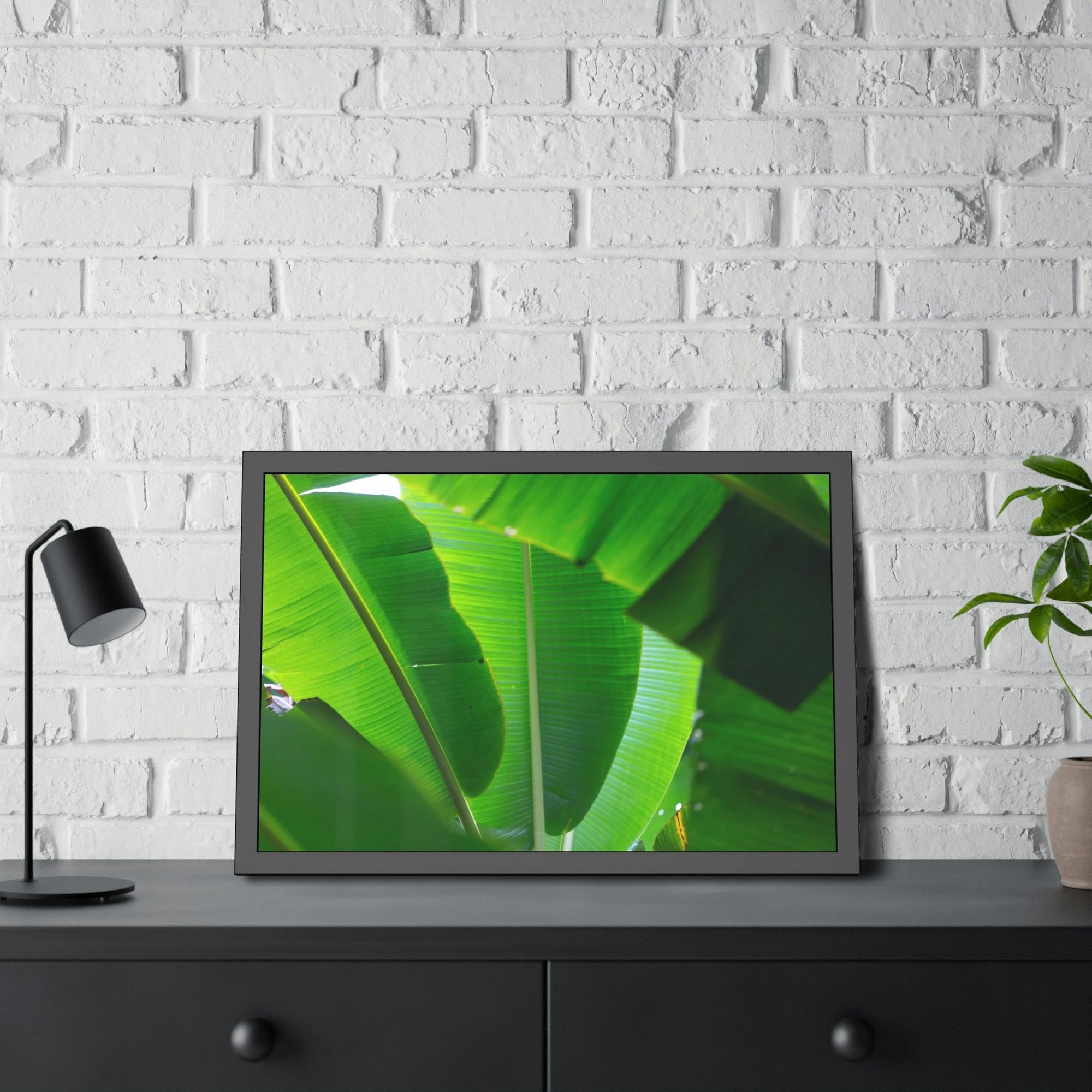 Banana Trees Exotic Foliage: Framed Poster of a Lush Banana Grove