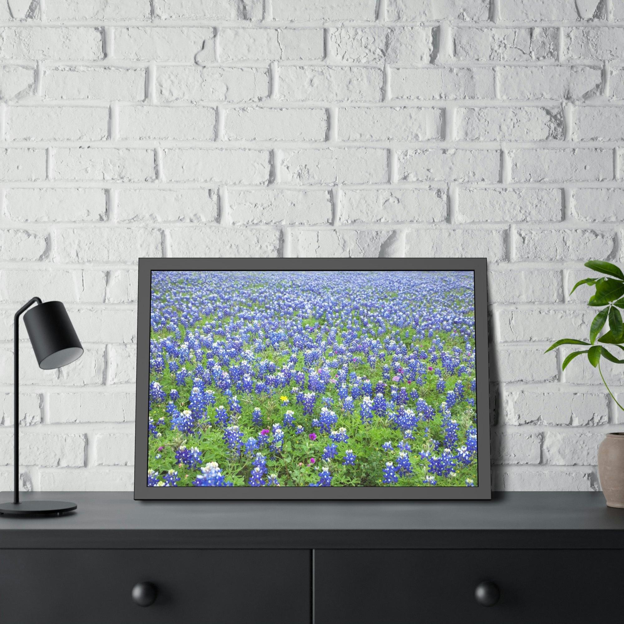 Bluebonnets Bluebonnet Garden: Colorful Print on Canvas of a Flower-Filled Landscape