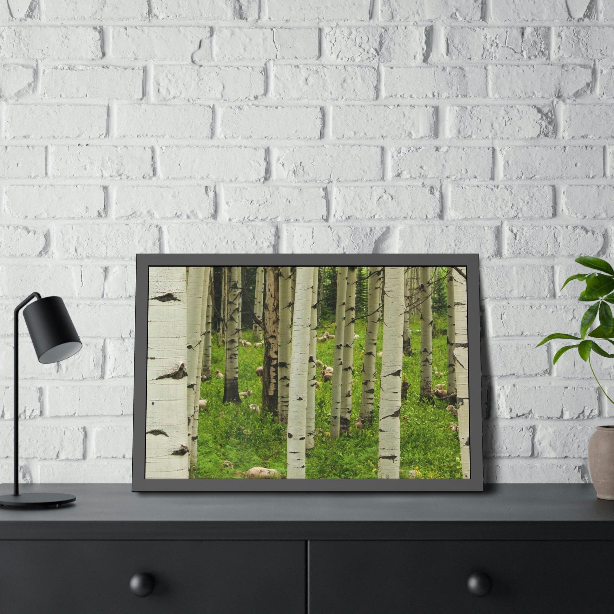 Birch Trees Silent Forest: Framed Poster of Birch Trees with a Tranquil Atmosphere
