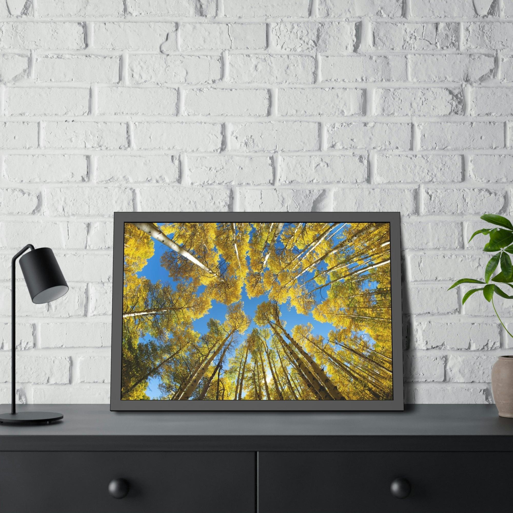undefined The Beauty of Nature: Rustic Framed Canvas Print of a Birch Tree Grove