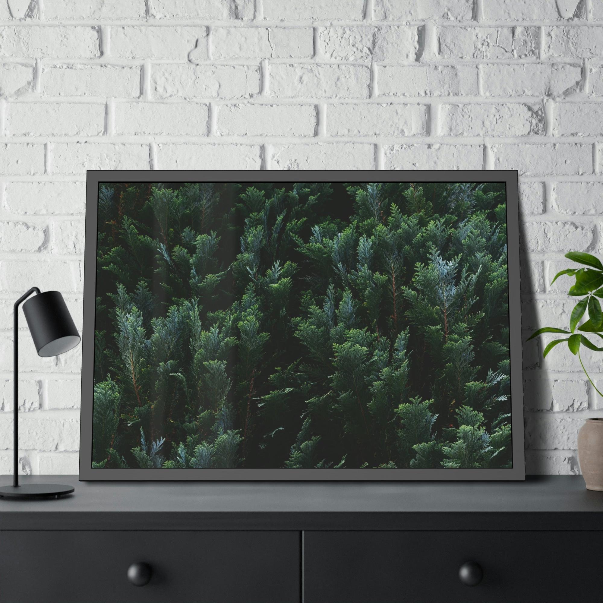 Cypress Tree Cypress Trees and the Eternal Serenity of Nature: A Vision of Peace and Calm