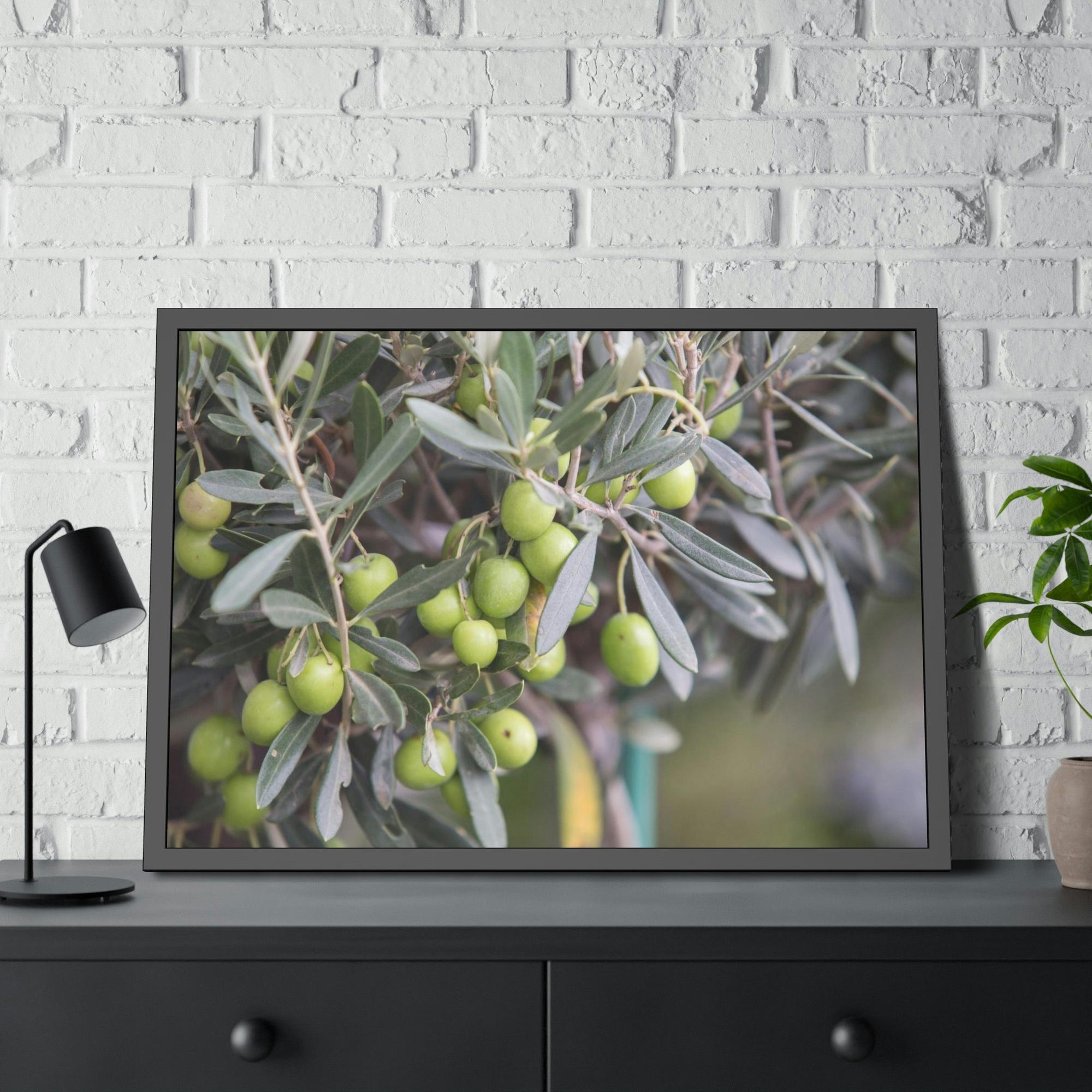 Olive Trees A Grove of Memories: A Nostalgic and Heartfelt Tribute to the Olive Trees' History