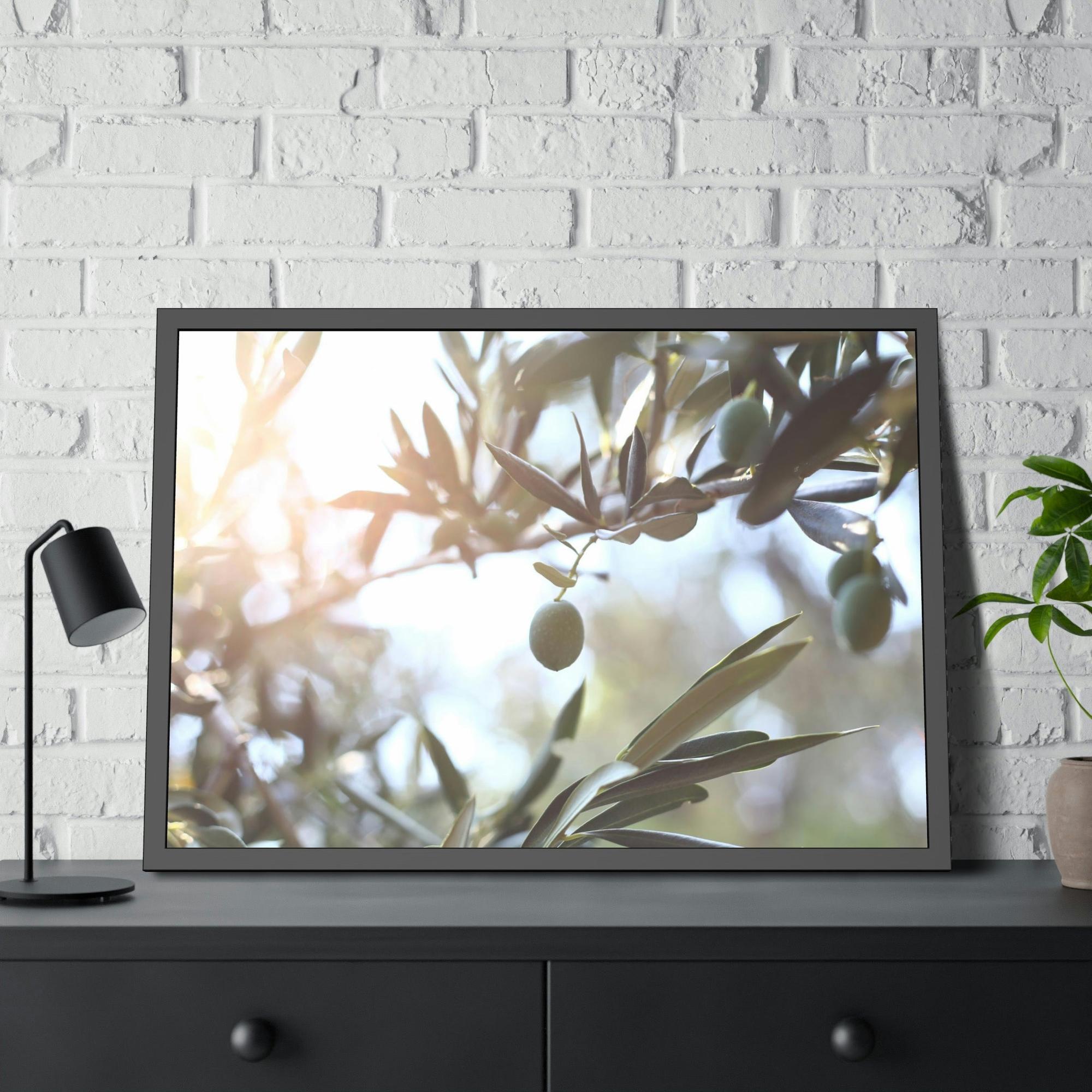 Olive Trees Ancient Wisdom: A Reverential and Timeless Homage to the Ancient Olive Trees
