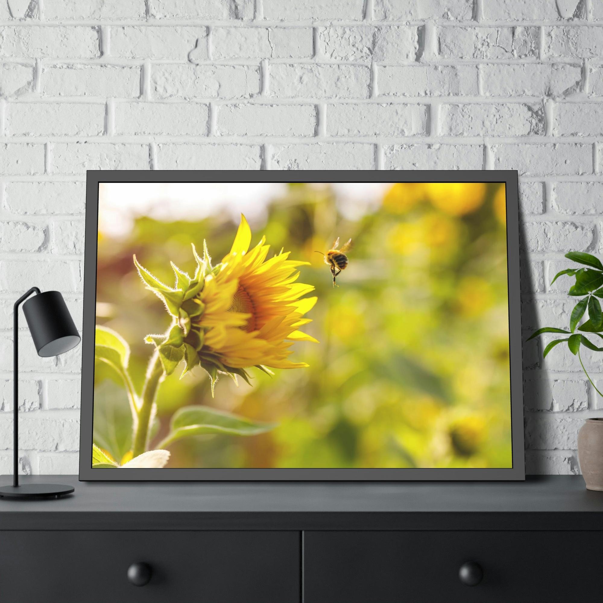 Sunflowers Blooming Sunshine: A Breathtaking and Inspiring Vision of Nature's Delight