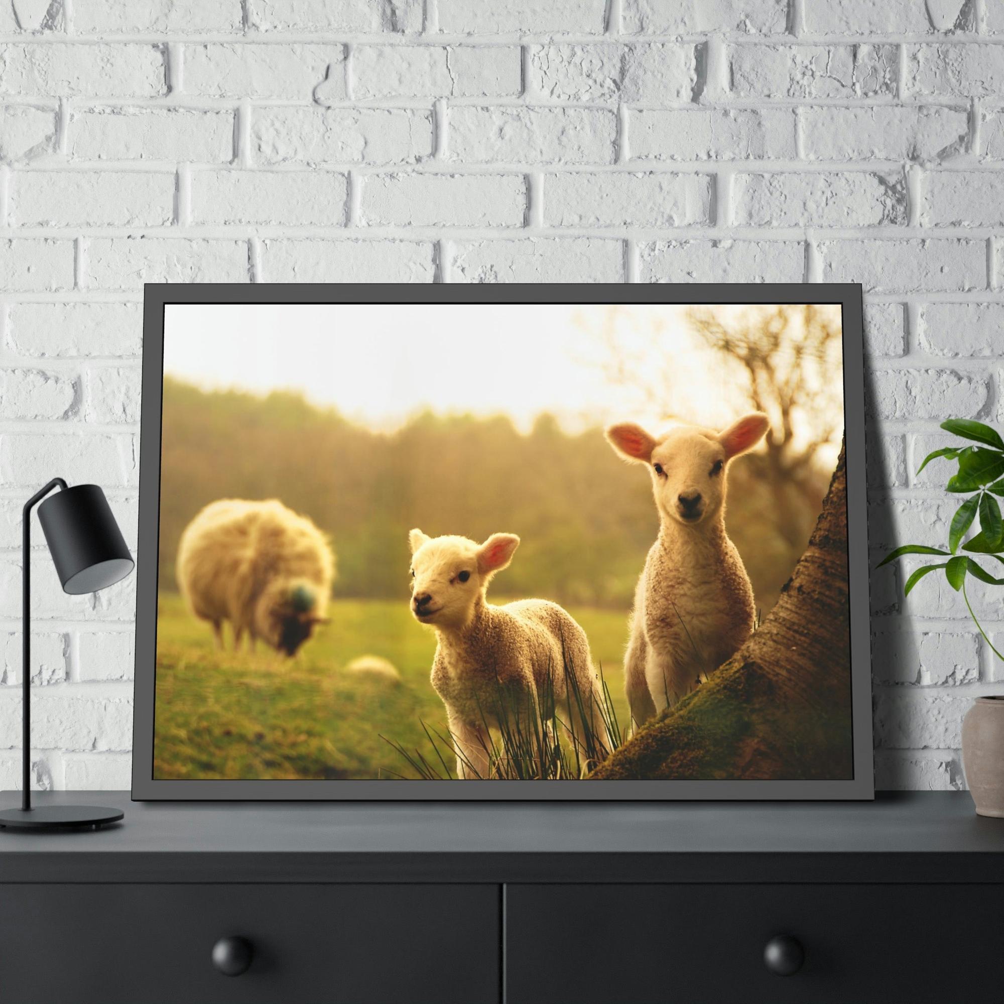Sheeps Rustic Charm: Framed Poster & Canvas of Sheep Grazing