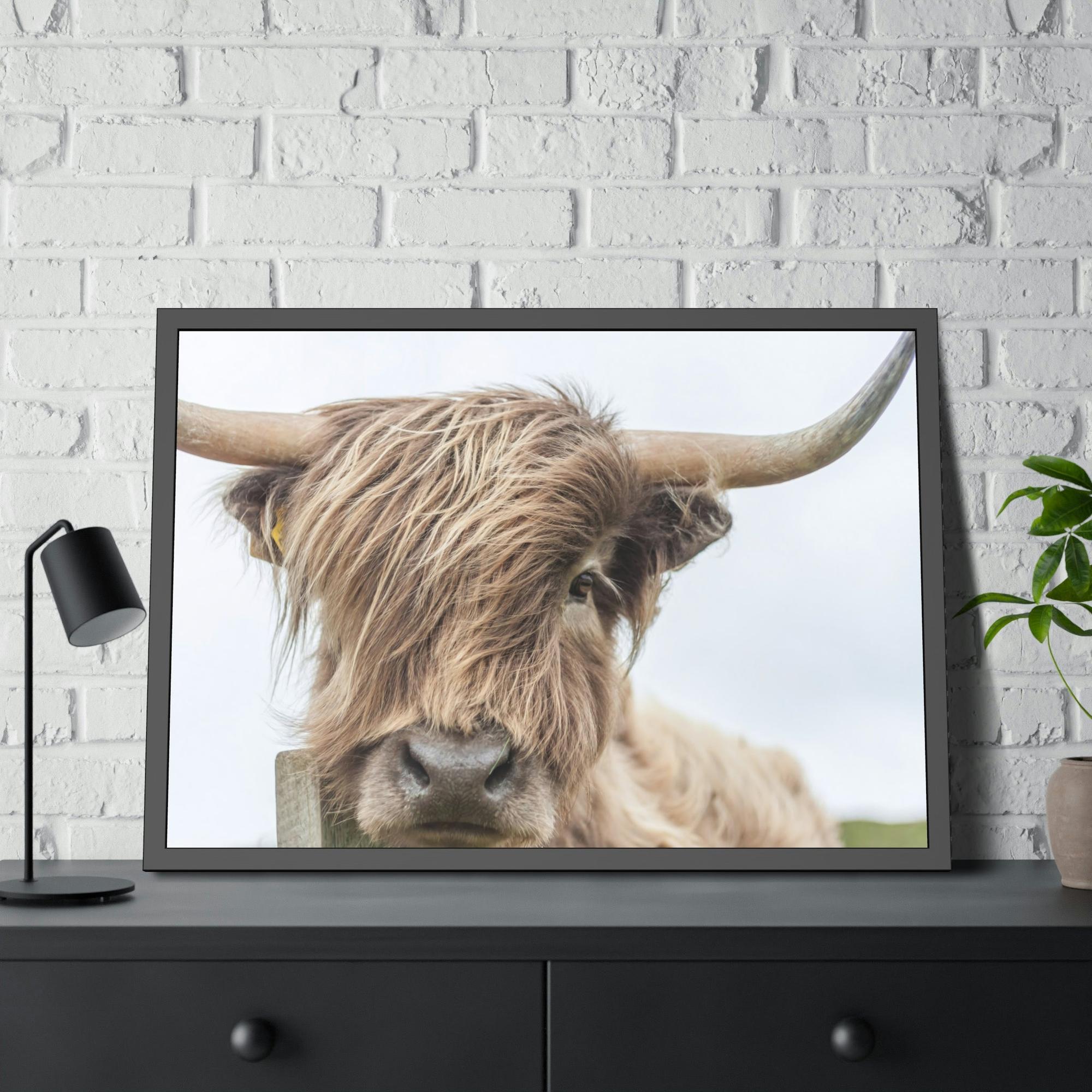 Highland Cow Wilderness Wonder: Wall Art on Canvas of a Majestic Highland Cow in the Wild