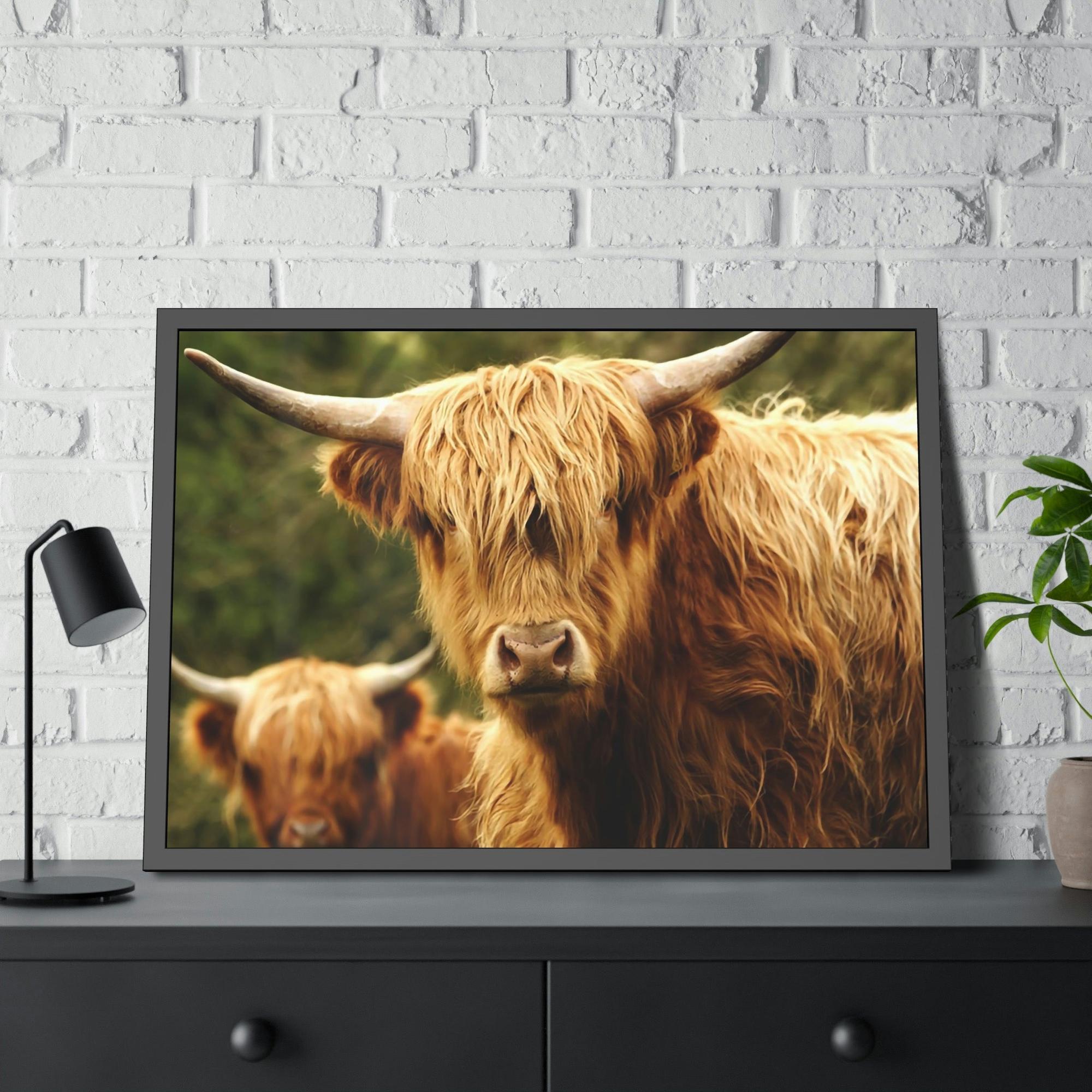 Highland Cow Highland Cow Family Grazing: Poster & Framed Wall Art