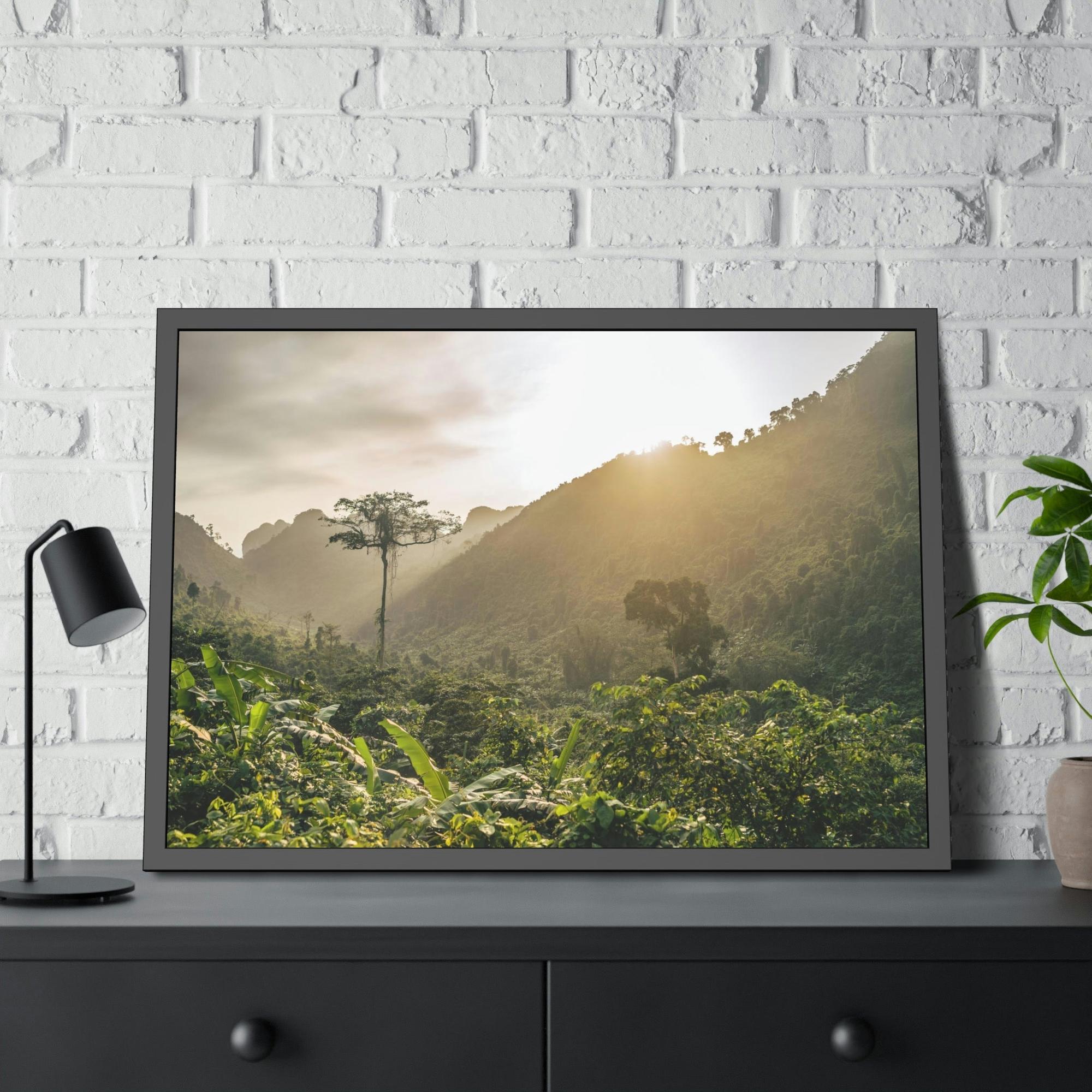 Forests And Jungles A Journey Through Forests and Jungles: A Glimpse into the Heart of Nature
