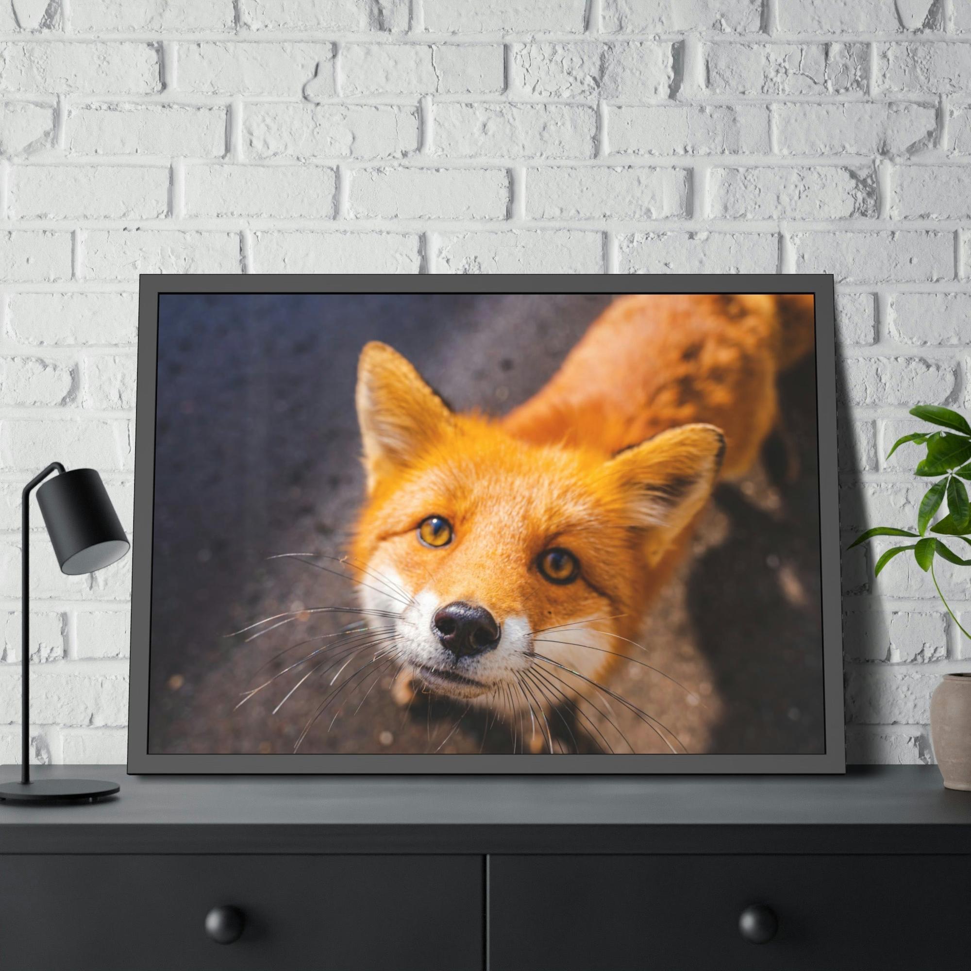 Fox The Mystic Fox: A Mysterious Enigma of the Natural World