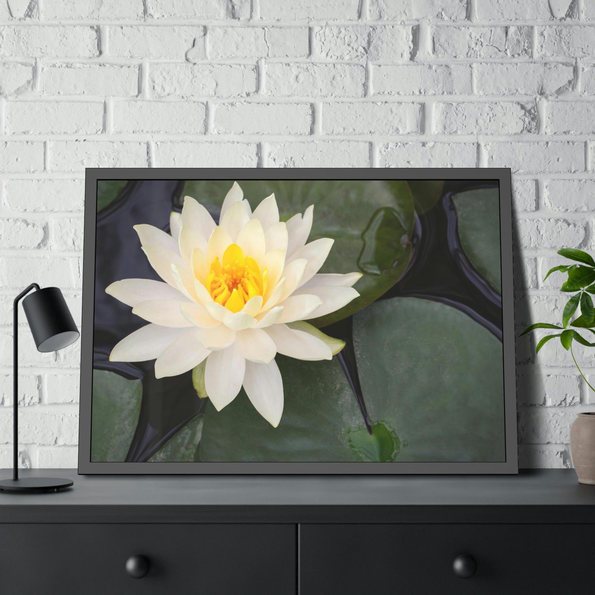 Lilies & Waterlily Lily Serenade: A Symphony of Floral Beauty