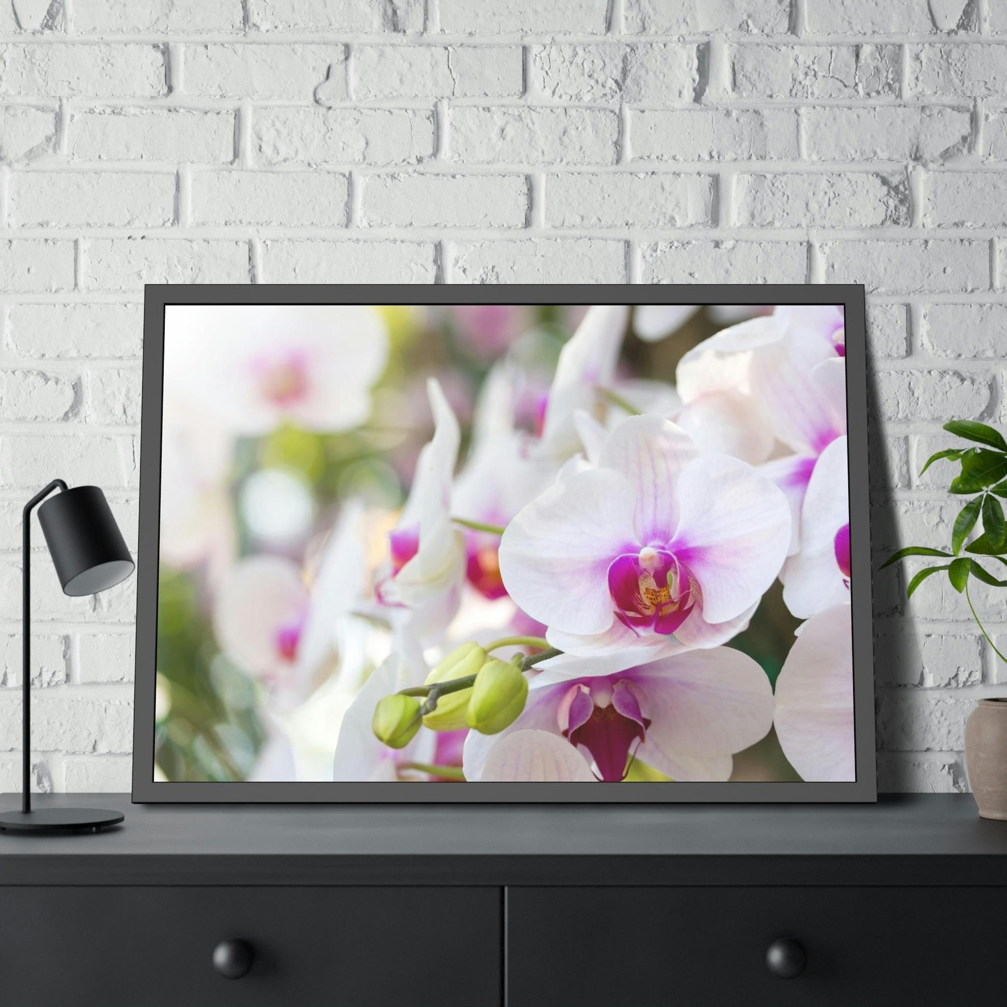 Orchids Floral Symphony: Orchids in Harmony